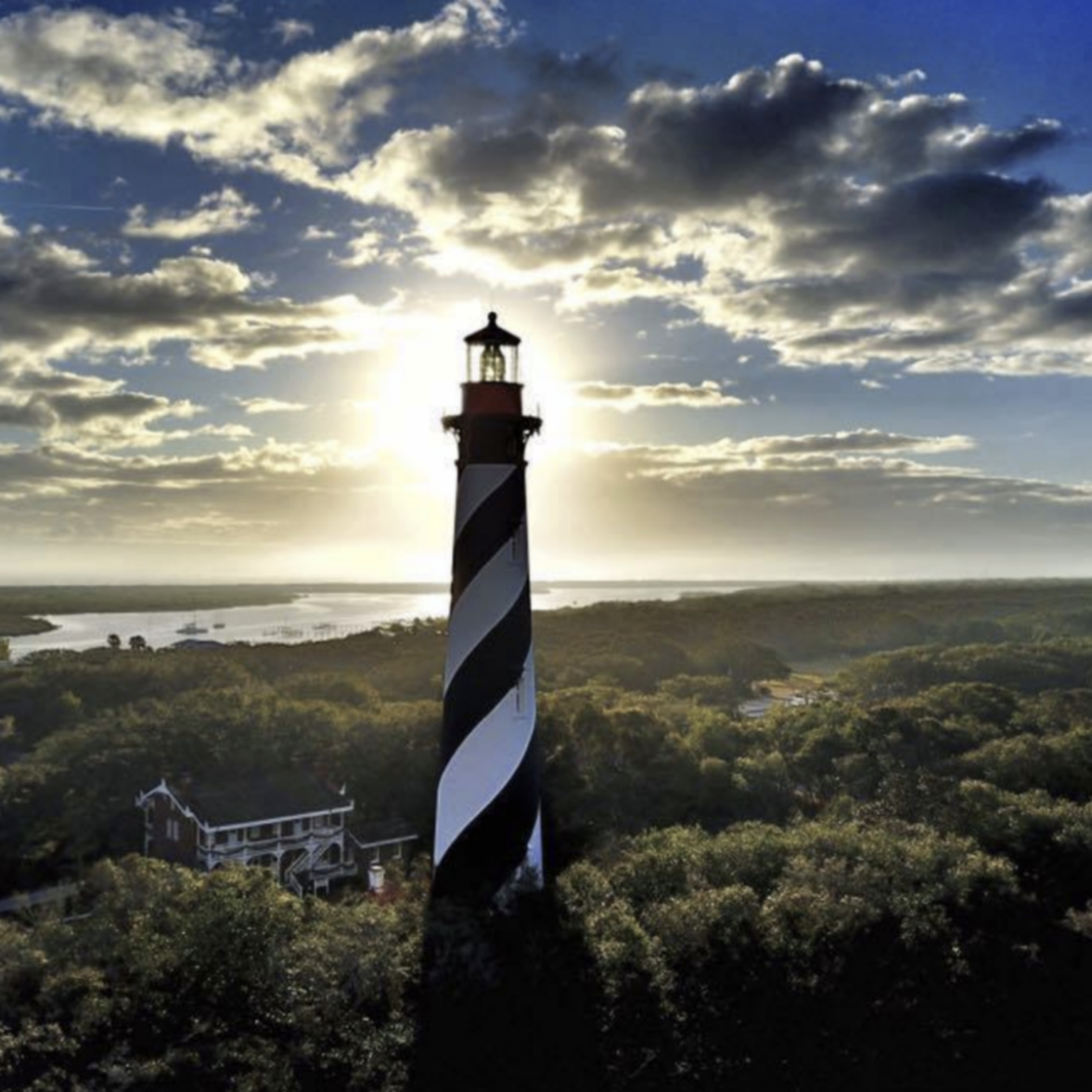 The Strange Woods Podcast