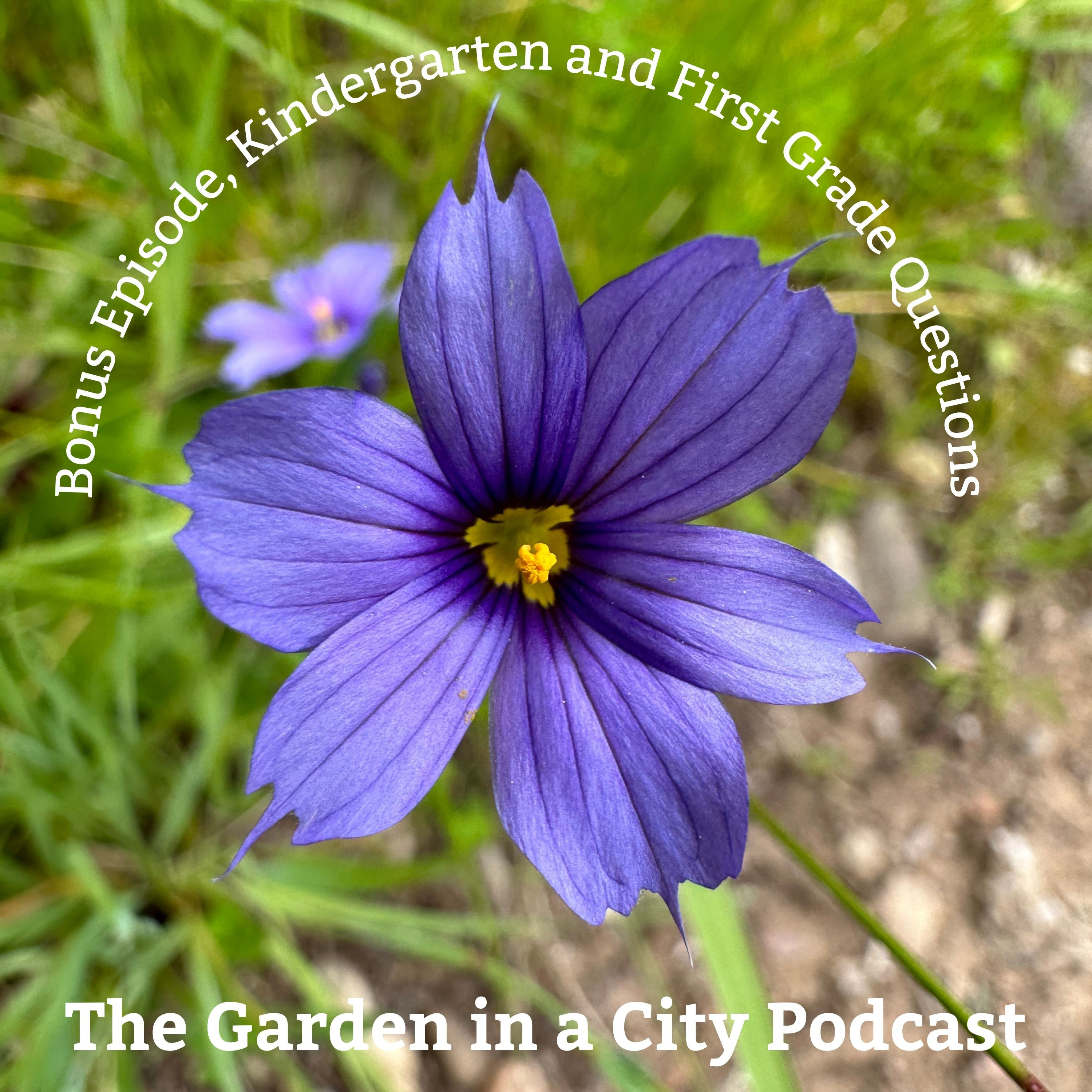 Garden in a City