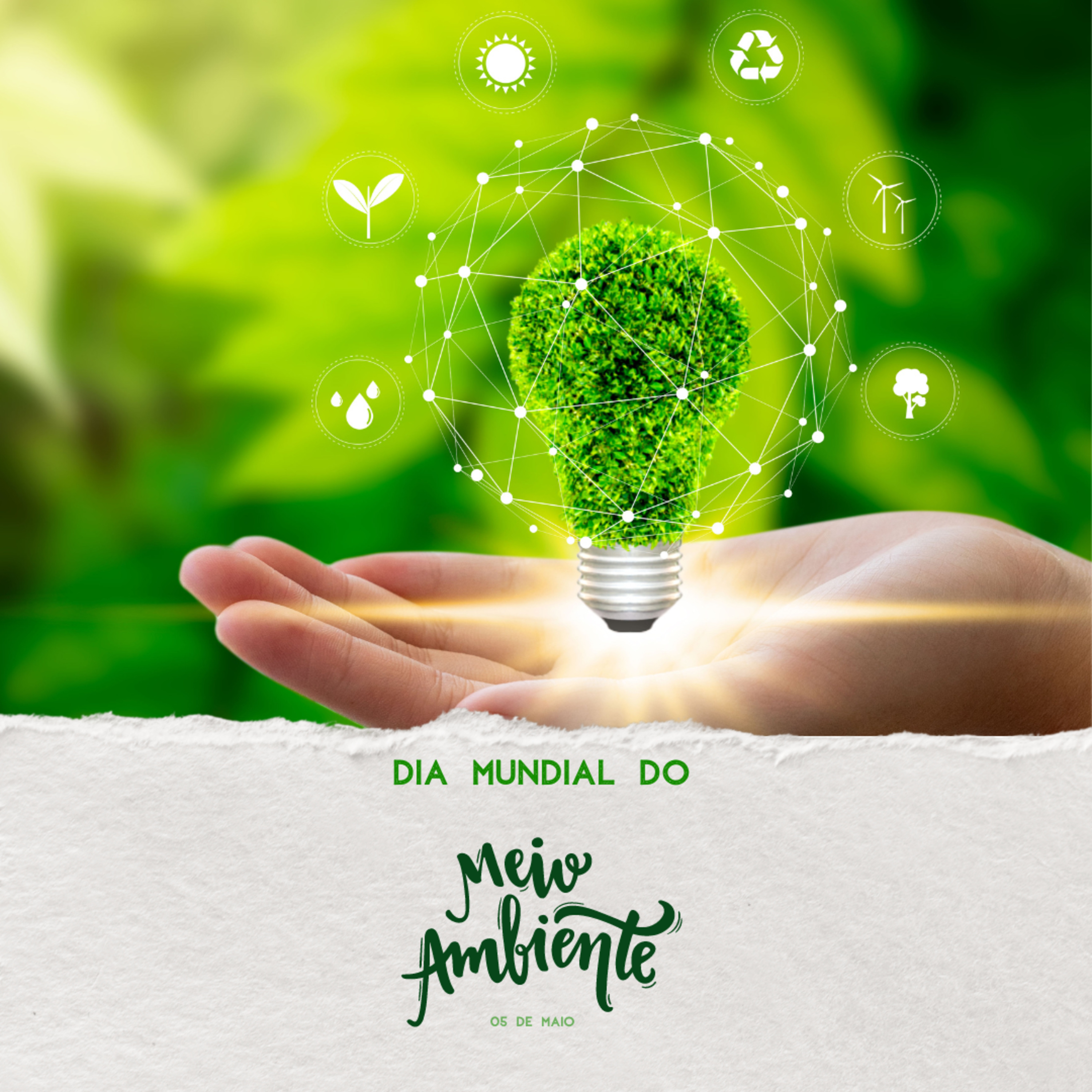 REPORTAGEM ESPECIAL: Dia do Meio Ambiente episode artwork