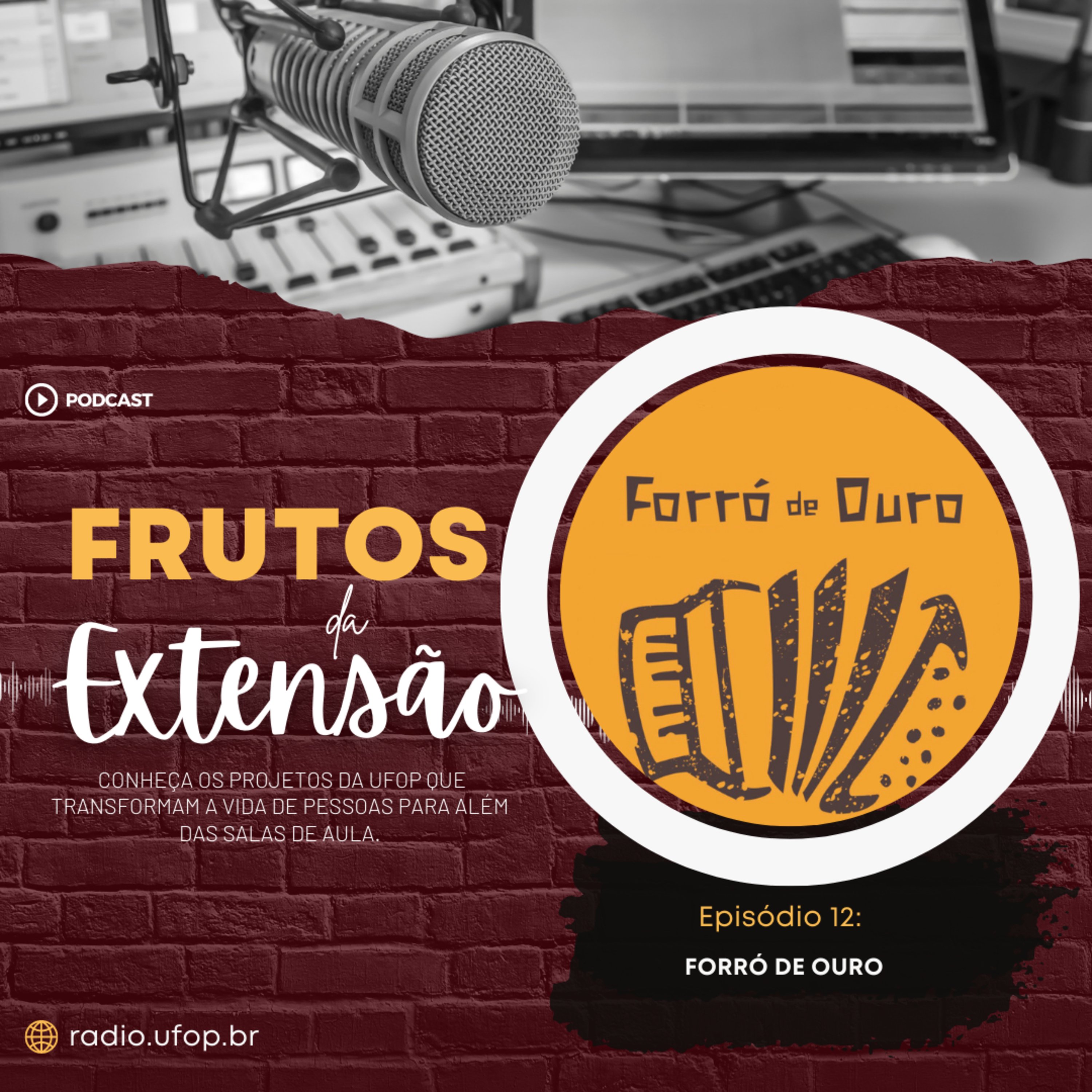 FRUTOS DA EXTENSÃO: Forró de Ouro episode artwork