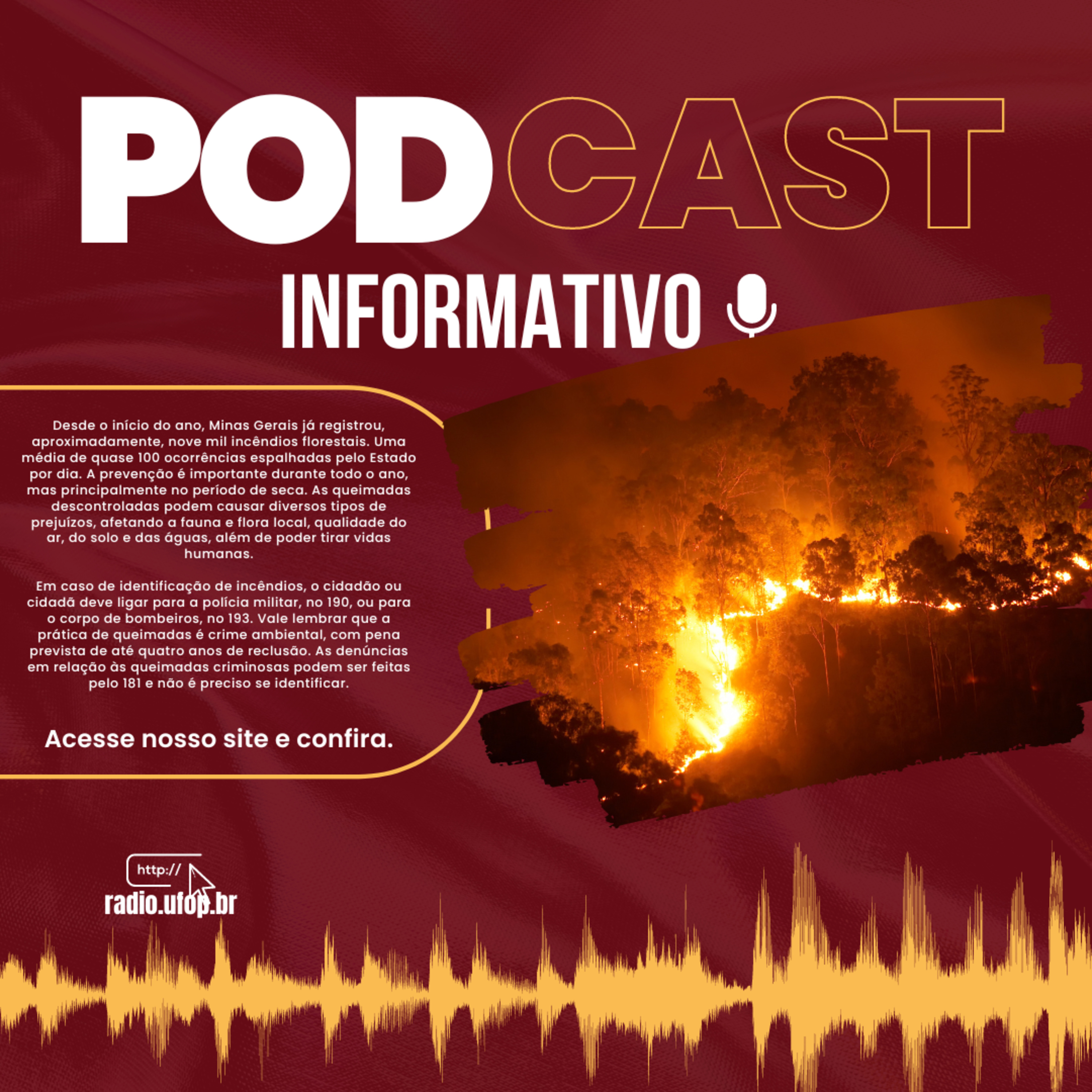 PODCAST INFORMATIVO: Incêndios Florestais episode artwork