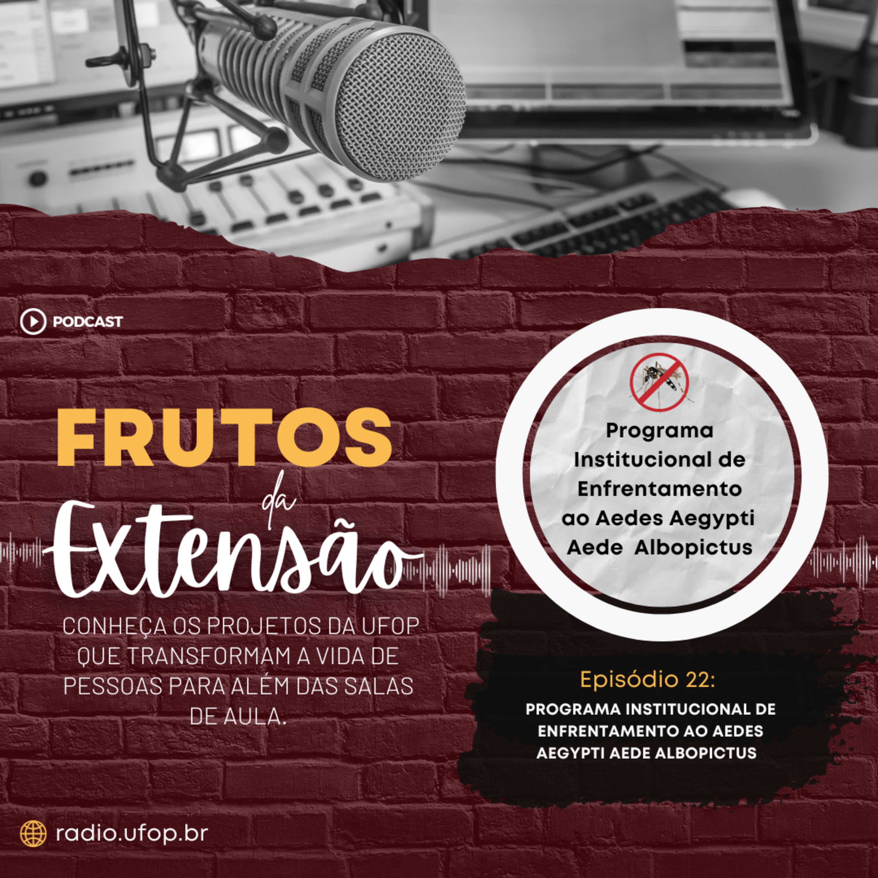 FRUTOS DA EXTENSÃO: Programa de Enfrentamento ao Aedes Aegypti episode artwork