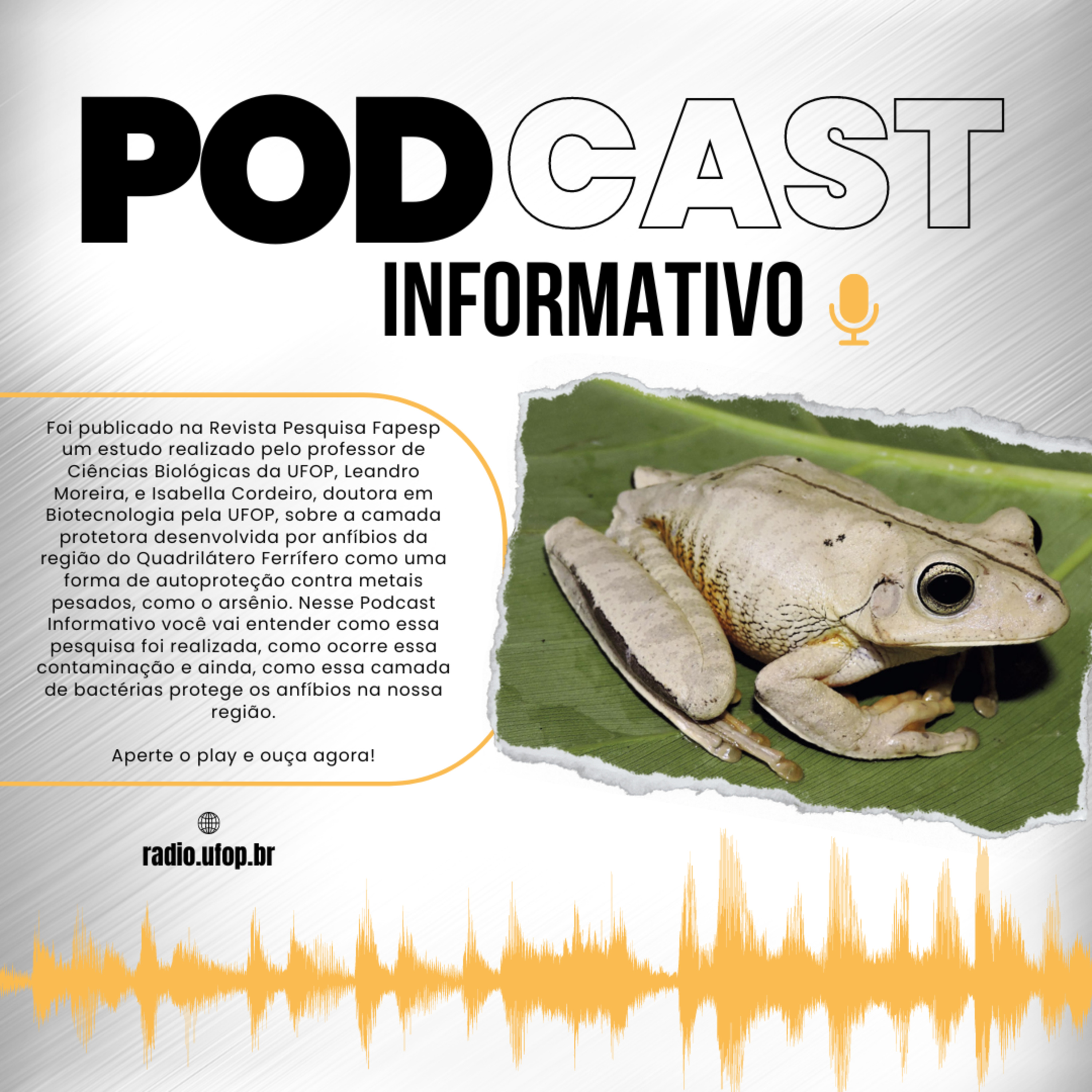 PODCAST INFORMATIVO: Estudo sobre capa protetora em anfíbios da região do Quadrilátero Ferrífero episode artwork
