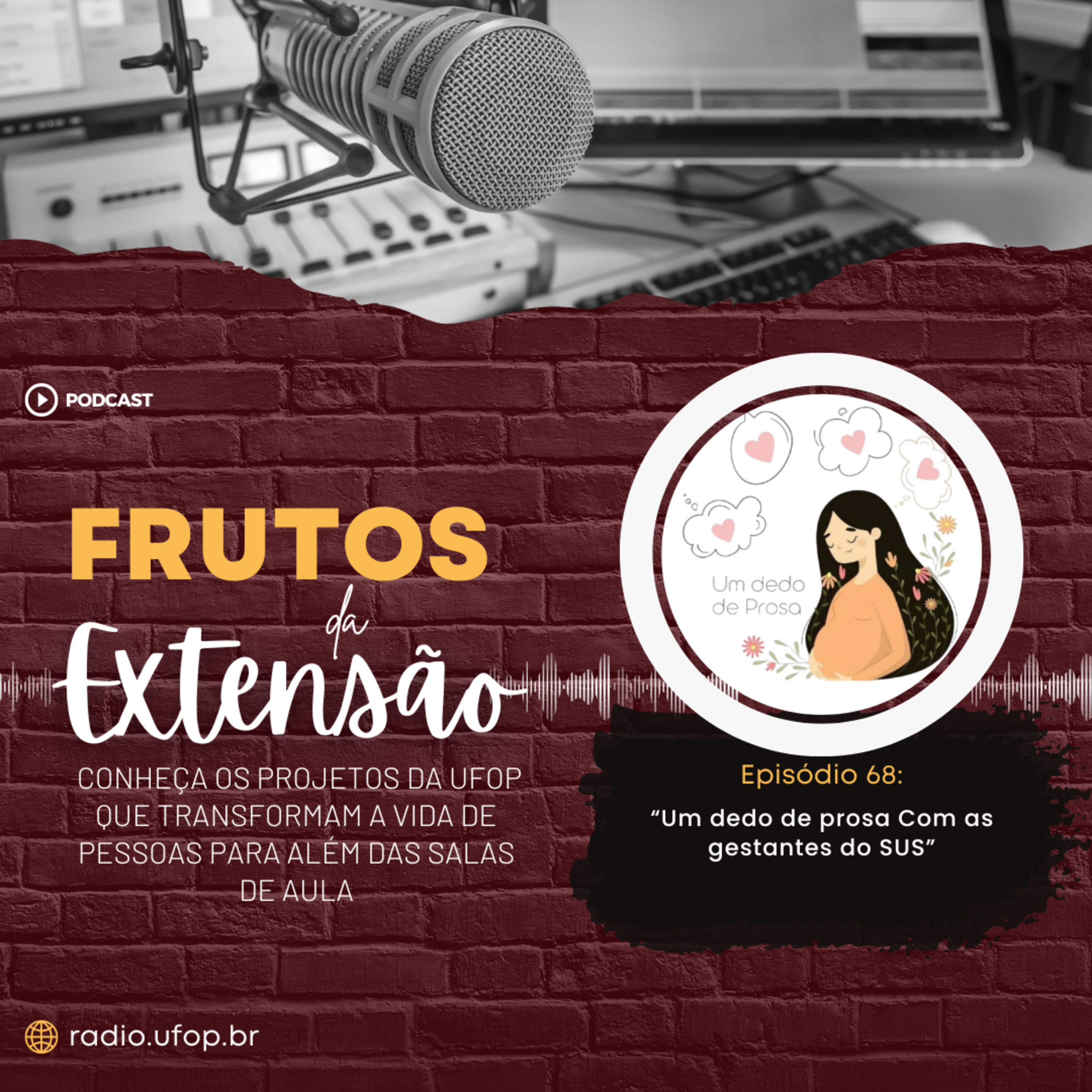 FRUTOS DA EXTENSÃO: Um dedo de prosa com as Gestantes do SUS episode artwork