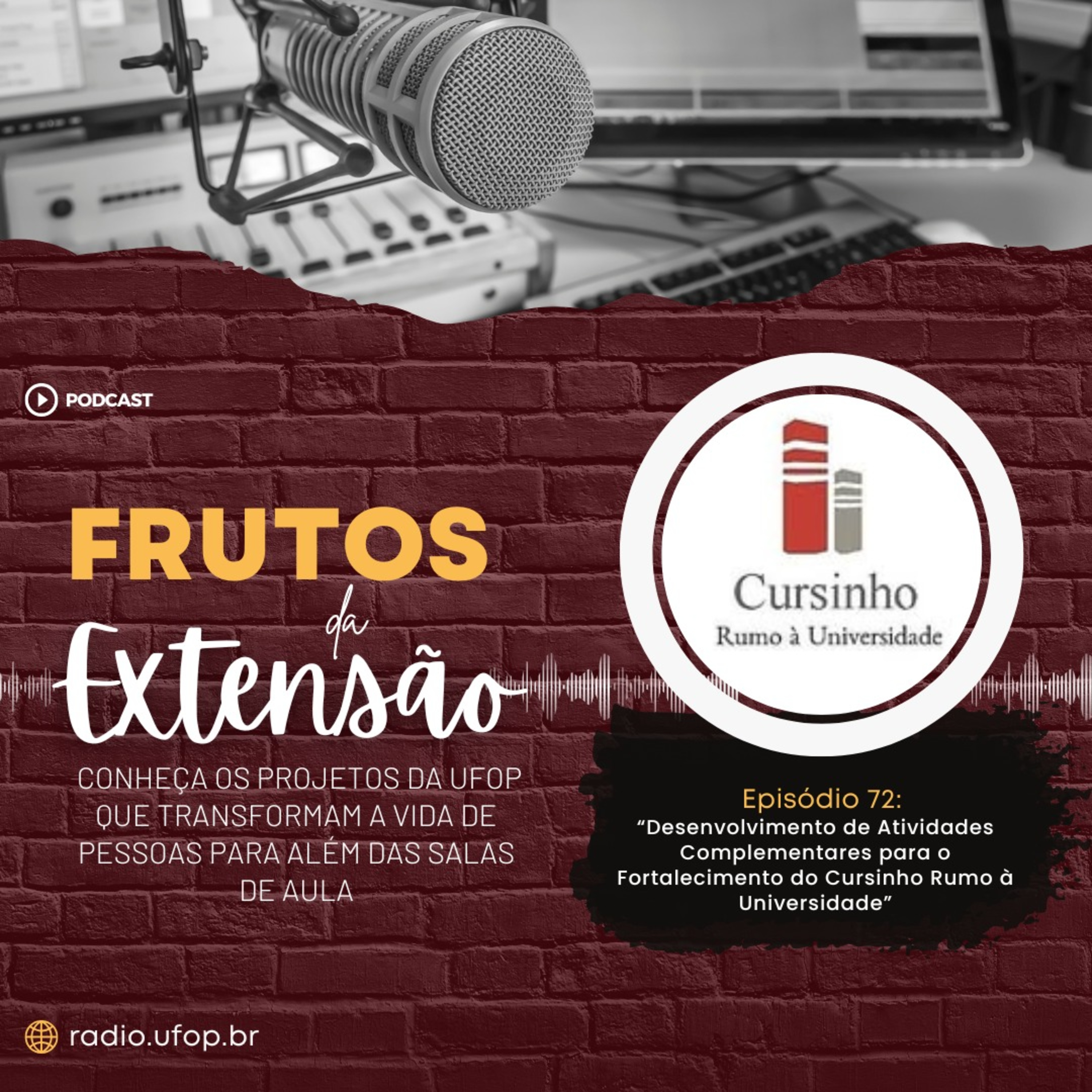 FRUTOS DA EXTENSÃO: Desenvolvimento de Atividades Complementares para o Fortalecimento do Cursinho Rumo à Universidade episode artwork