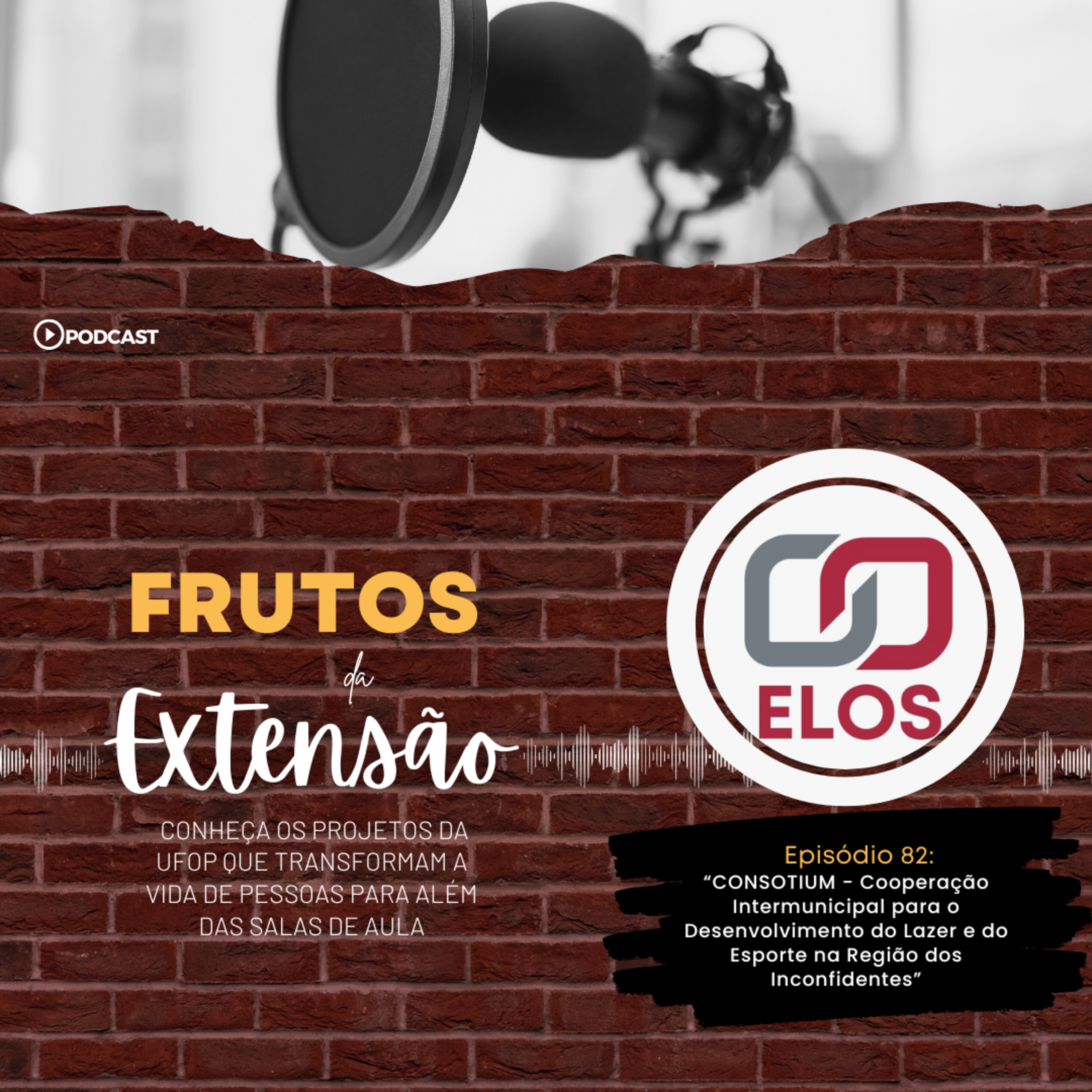 FRUTOS DA EXTENSÃO: CONSOTIUM - Cooperação Intermunicipal para o Desenvolvimento do Lazer e do Esporte na Região dos Inconfidentes episode artwork