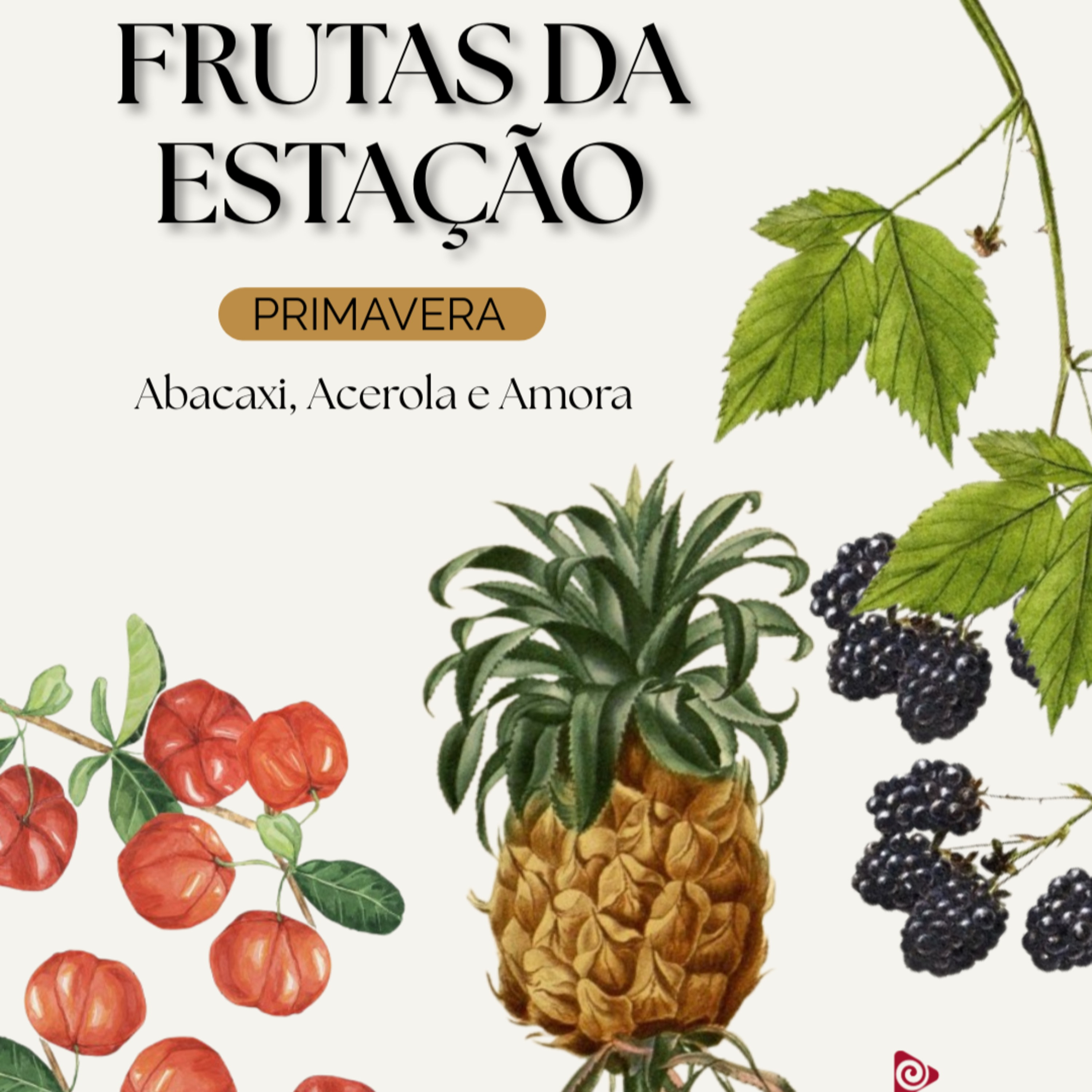 SPOT EDUCATIVO: Frutas da Estação - Primavera: Abacaxi, Acerola e Amora episode artwork