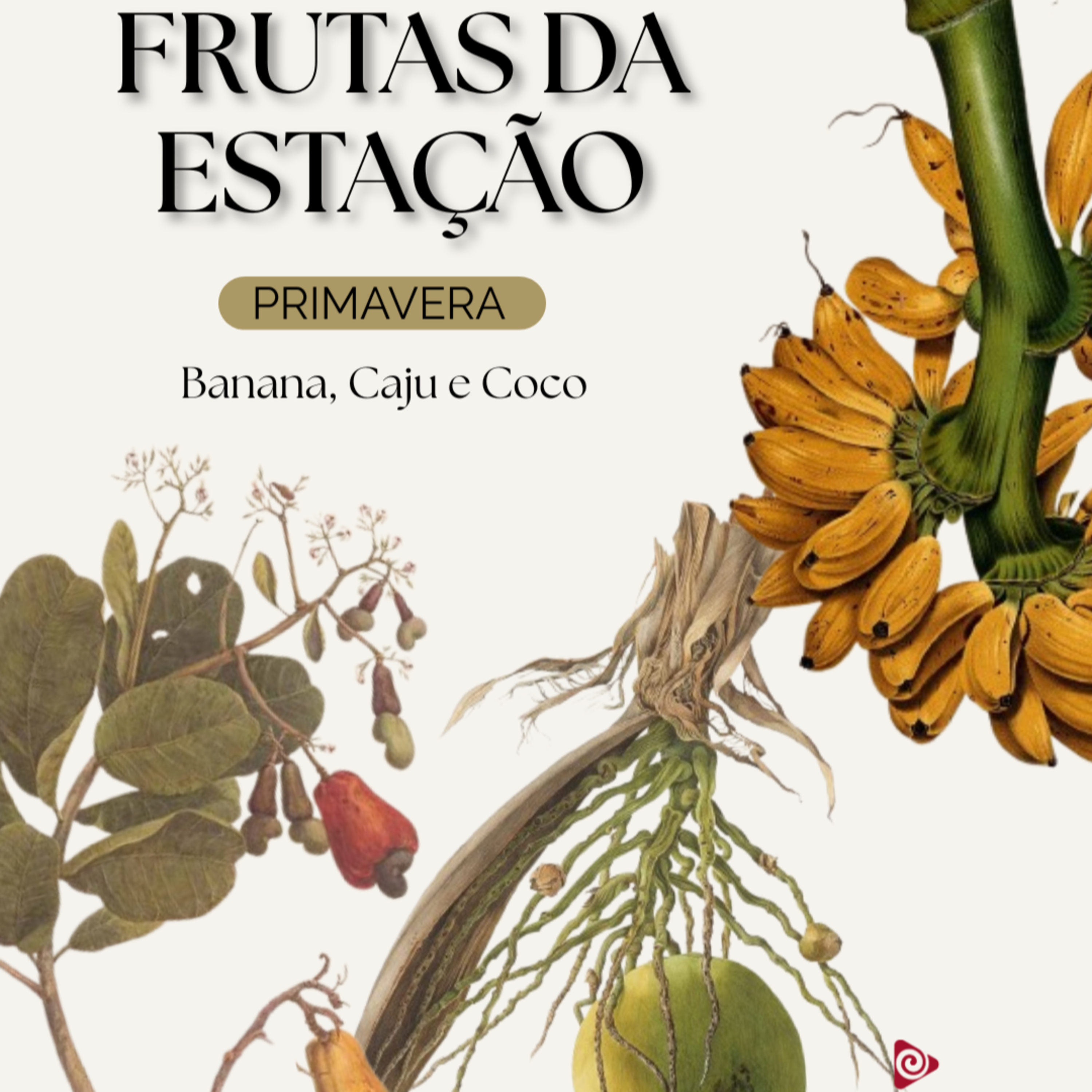 SPOT EDUCATIVO: Frutas de Cada Estação - Primavera: Banana, Caju e Coco episode artwork