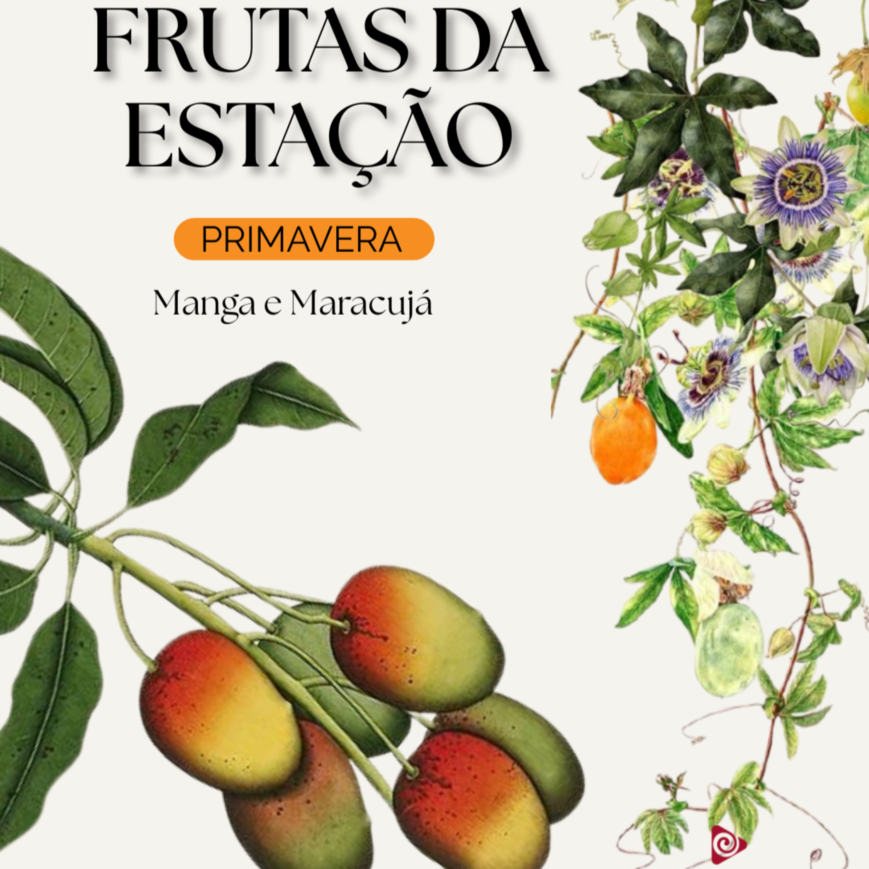 SPOT EDUCATIVO: Frutas de Cada Estação - Primavera: Manga e Maracujá episode artwork