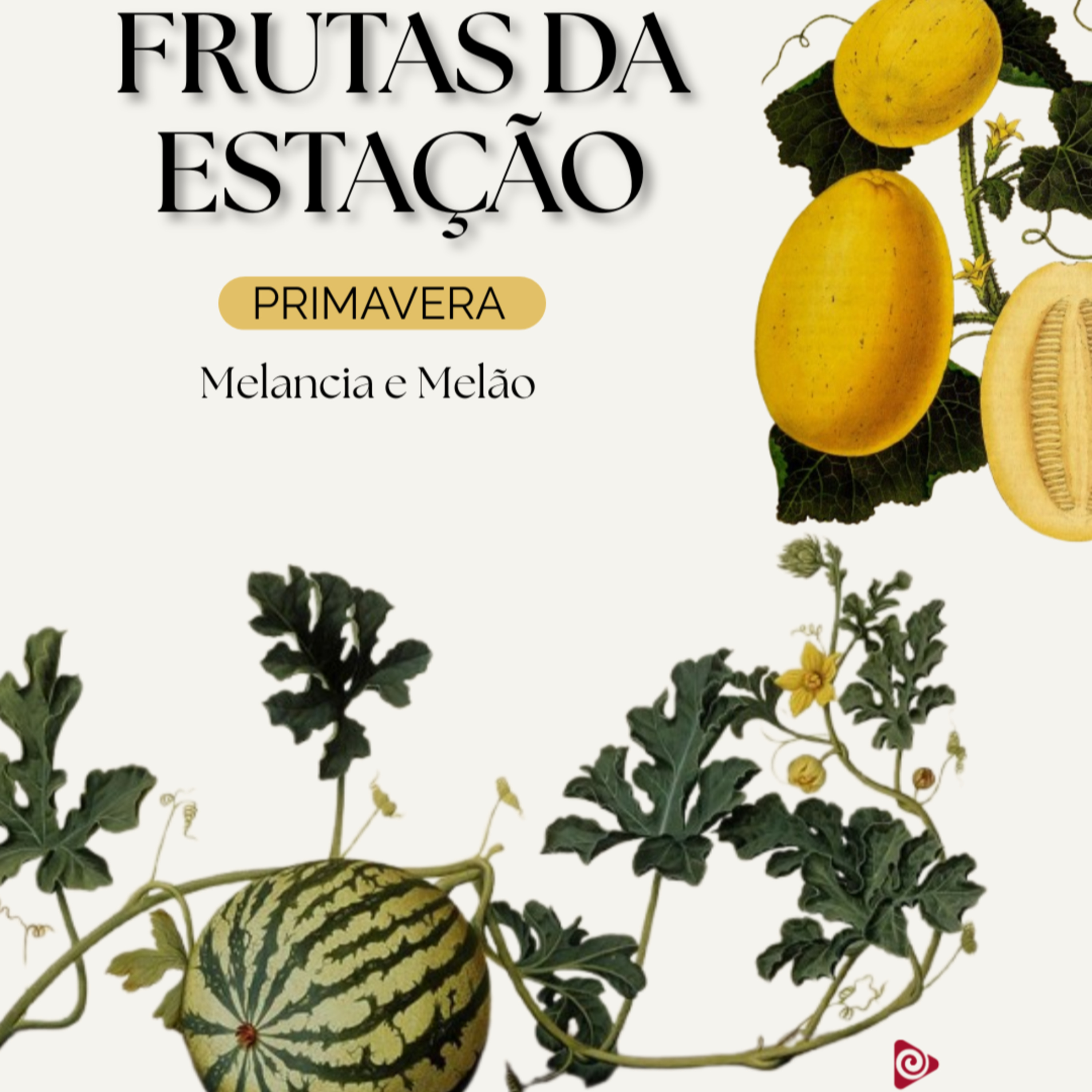 SPOT EDUCATIVO: Frutas de Cada Estação - Primavera: Melancia e Melão episode artwork