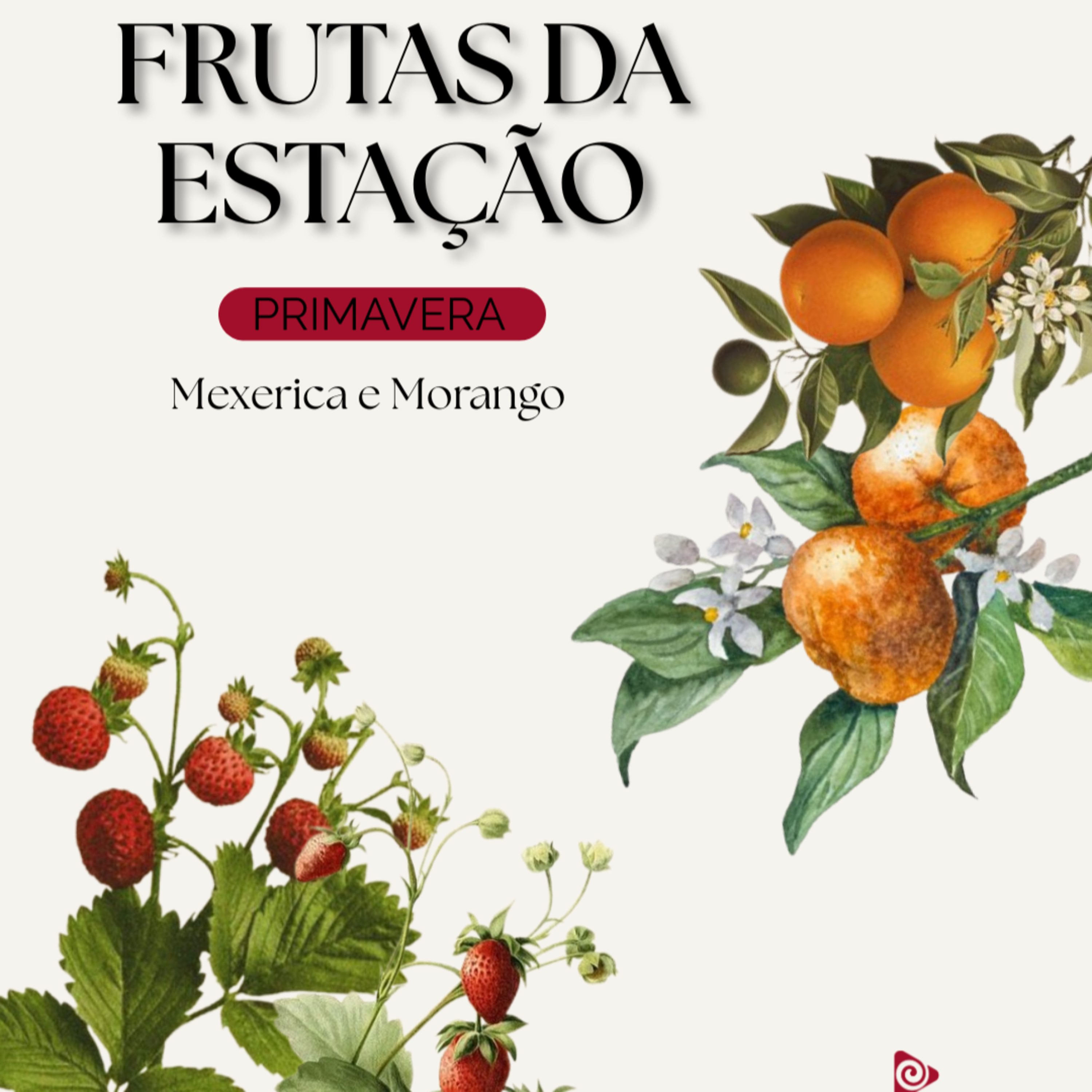 SPOT EDUCATIVO: Frutas de Cada Estação - Primavera: Mexerica e Morango episode artwork