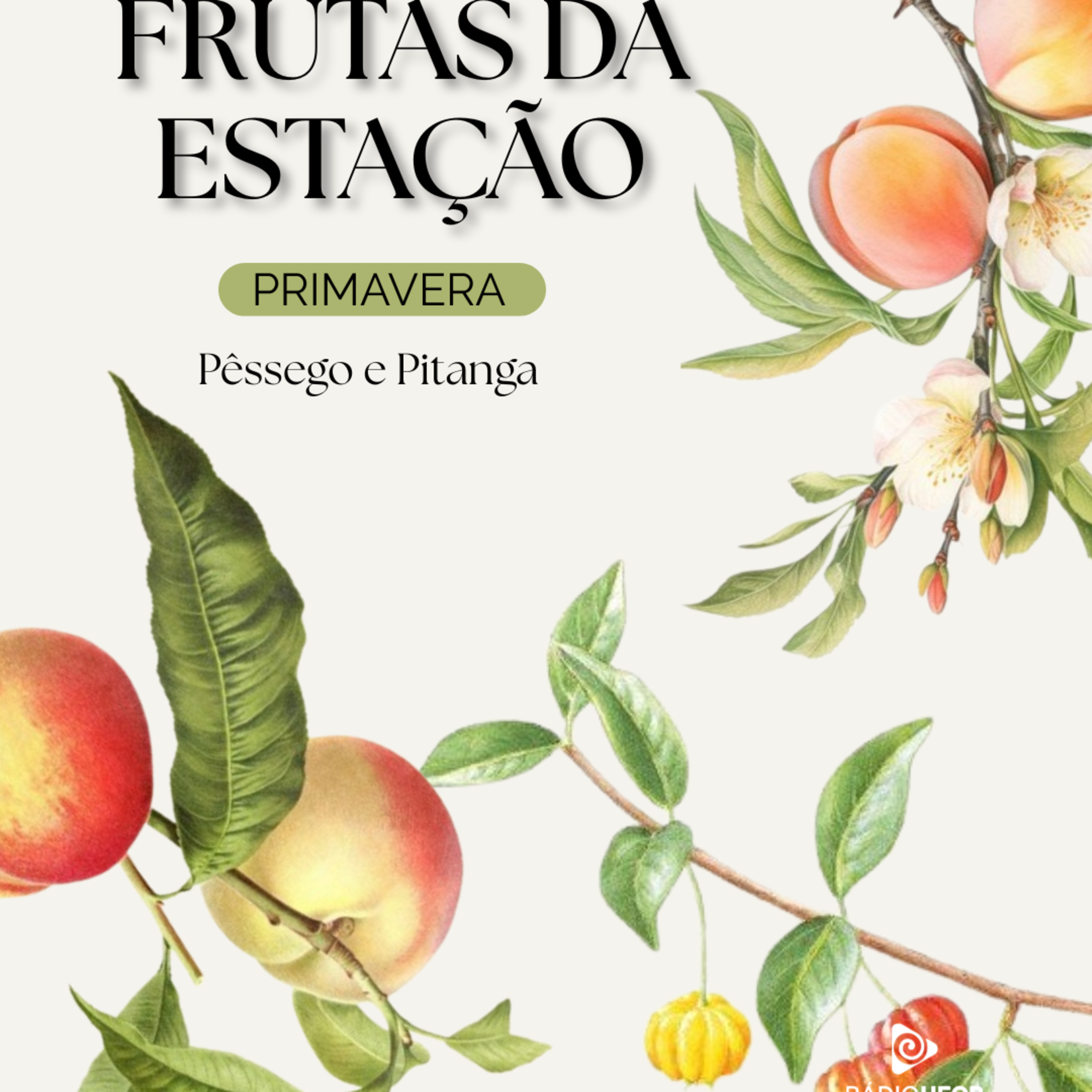 SPOT EDUCATIVO: Frutas de Cada Estação - Primavera: Pêssego e Pitanga episode artwork
