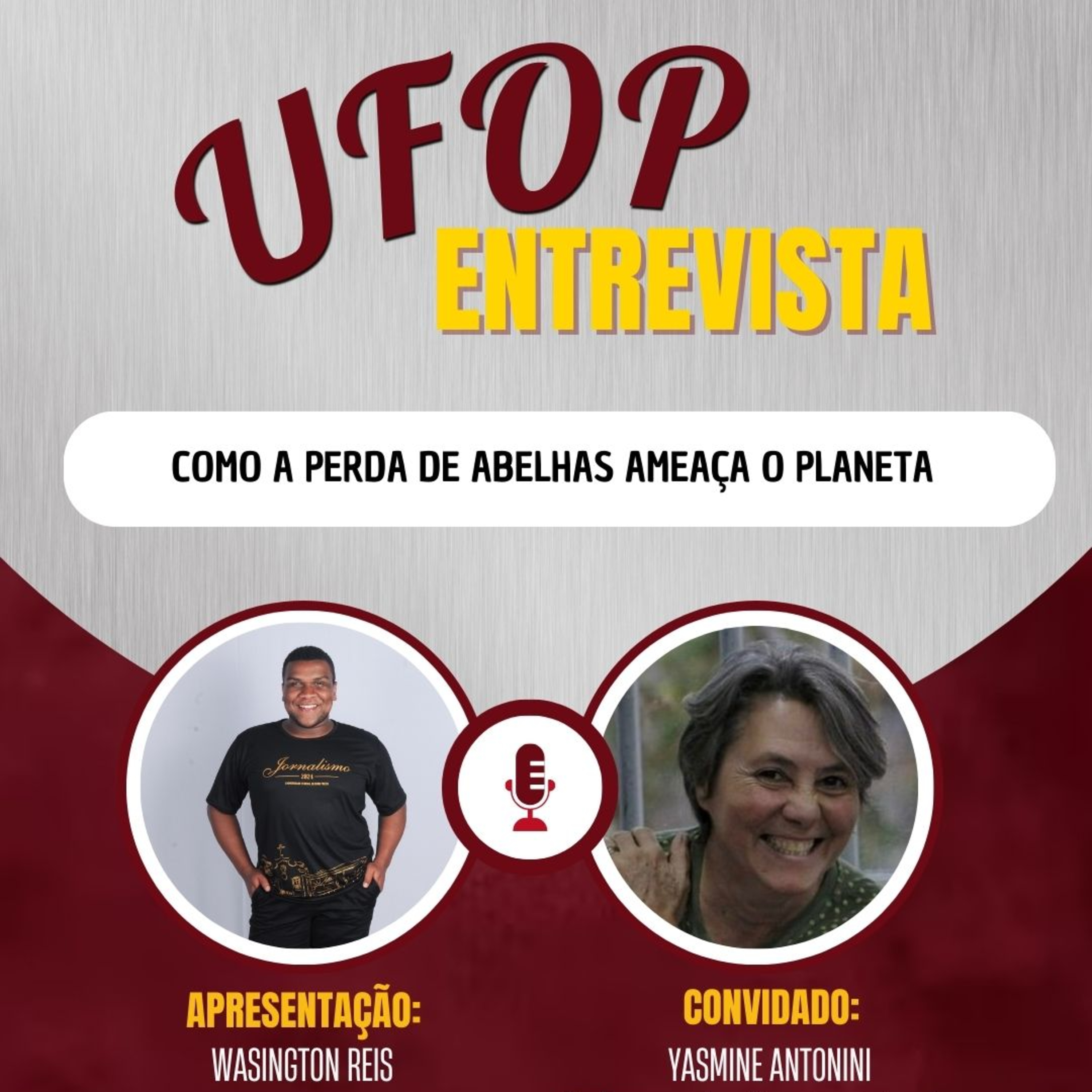 UFOP ENTREVISTA: Como a perda de abelhas ameaça o planeta episode artwork