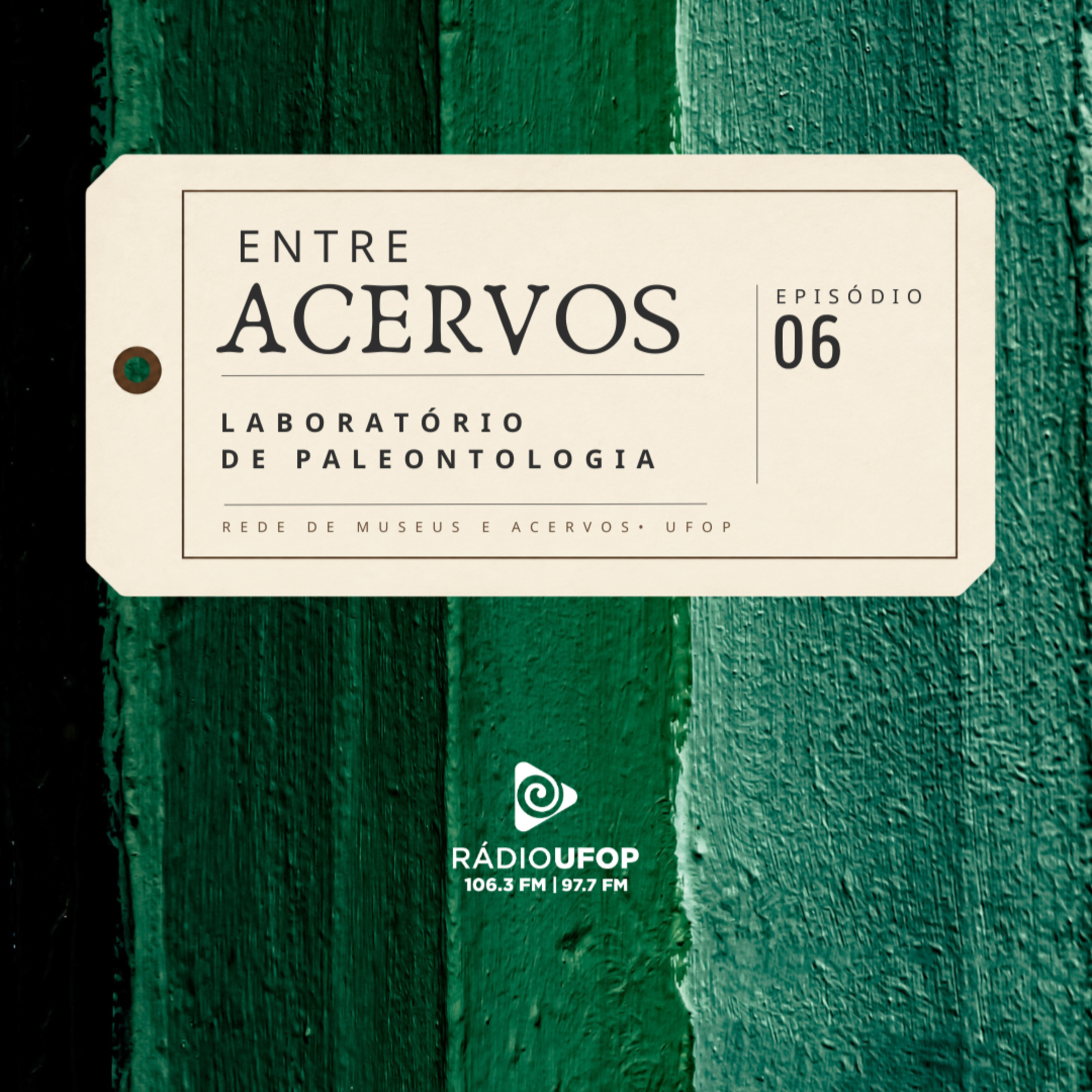 Entre Acervos - Ep.6: Laboratório de Paleontologia e Micropaleontologia da UFOP episode artwork
