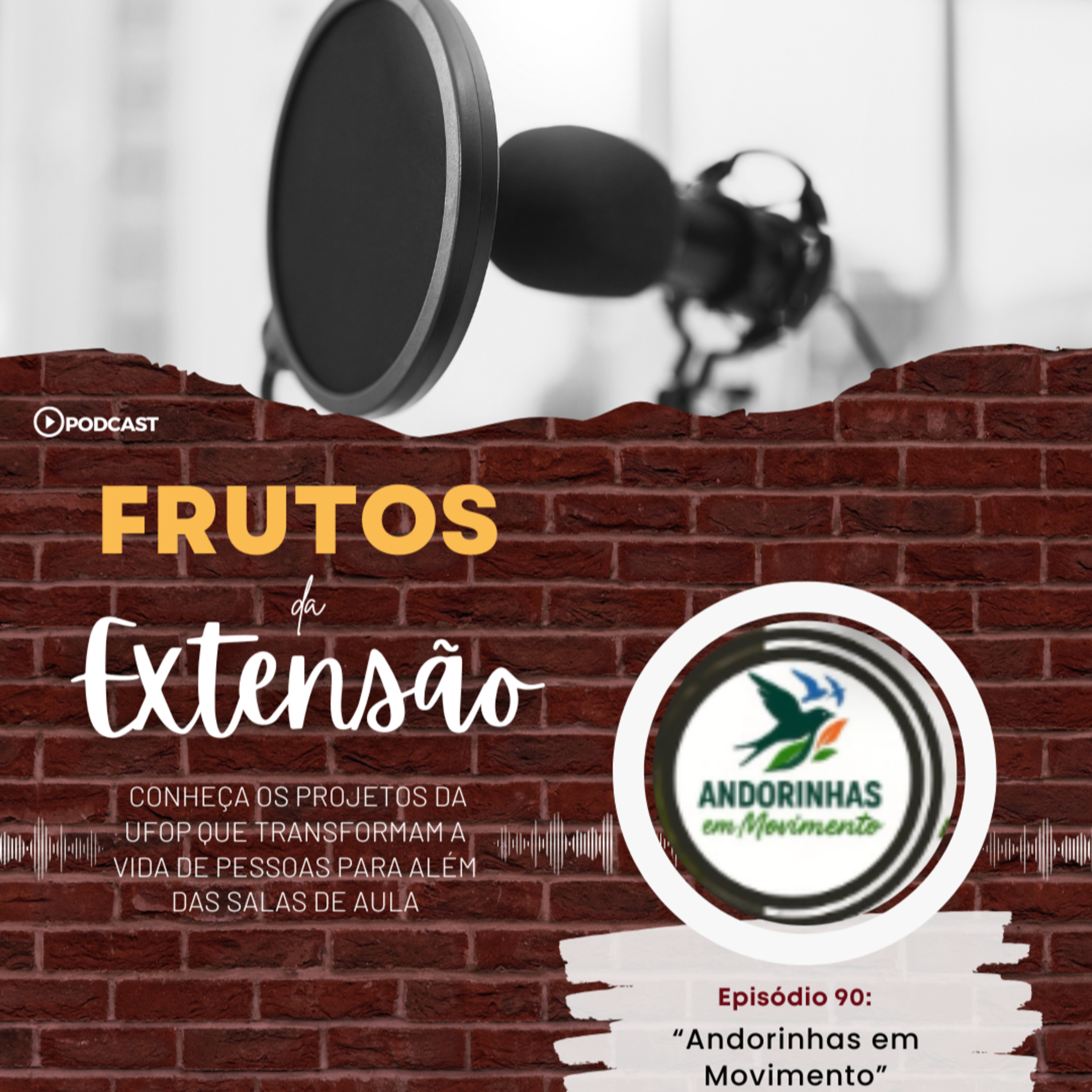 Andorinhas em Movimento episode artwork
