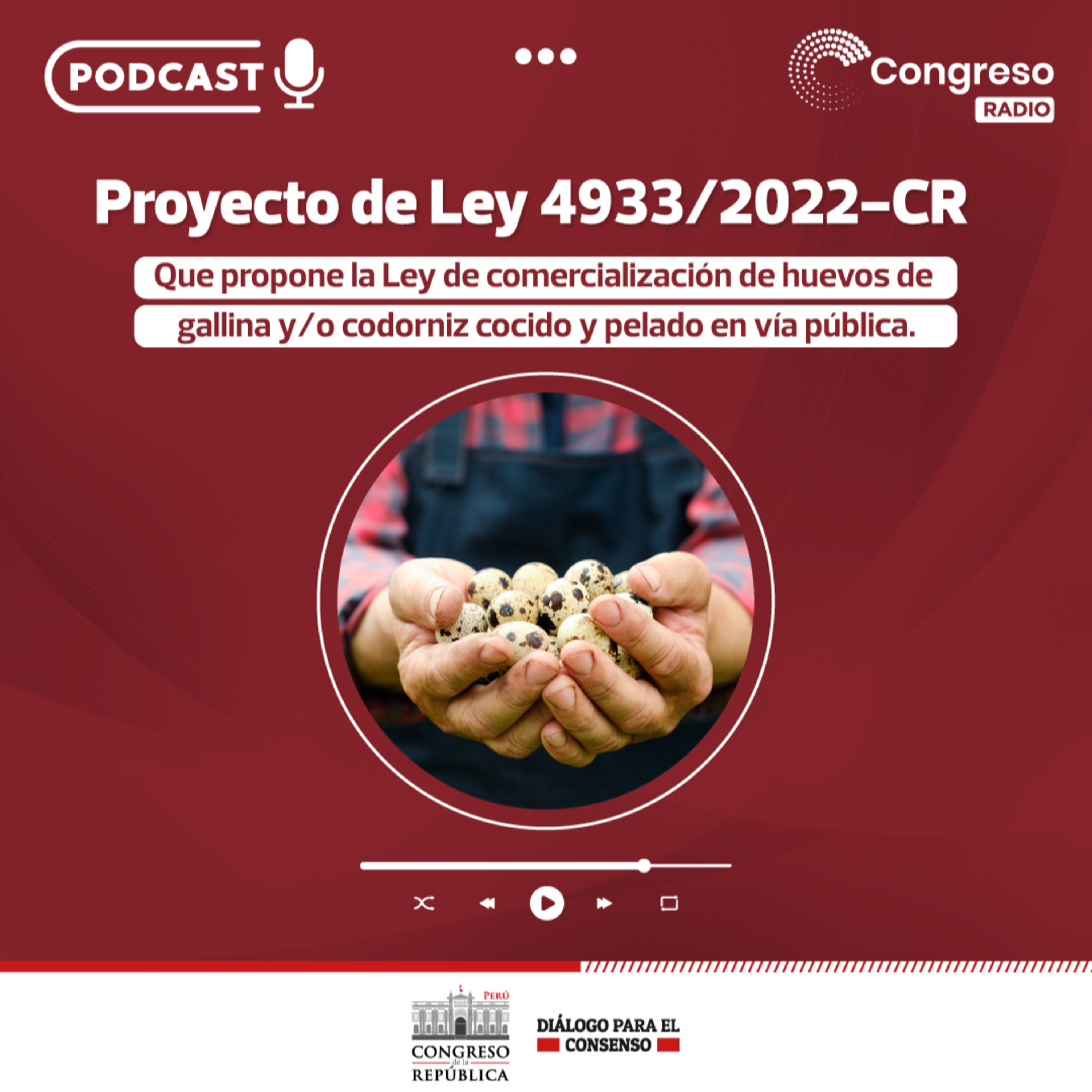 Proyecto que propone la Ley de comercialización de huevos de gallina y/o codorniz cocido y pelado en vía pública episode artwork