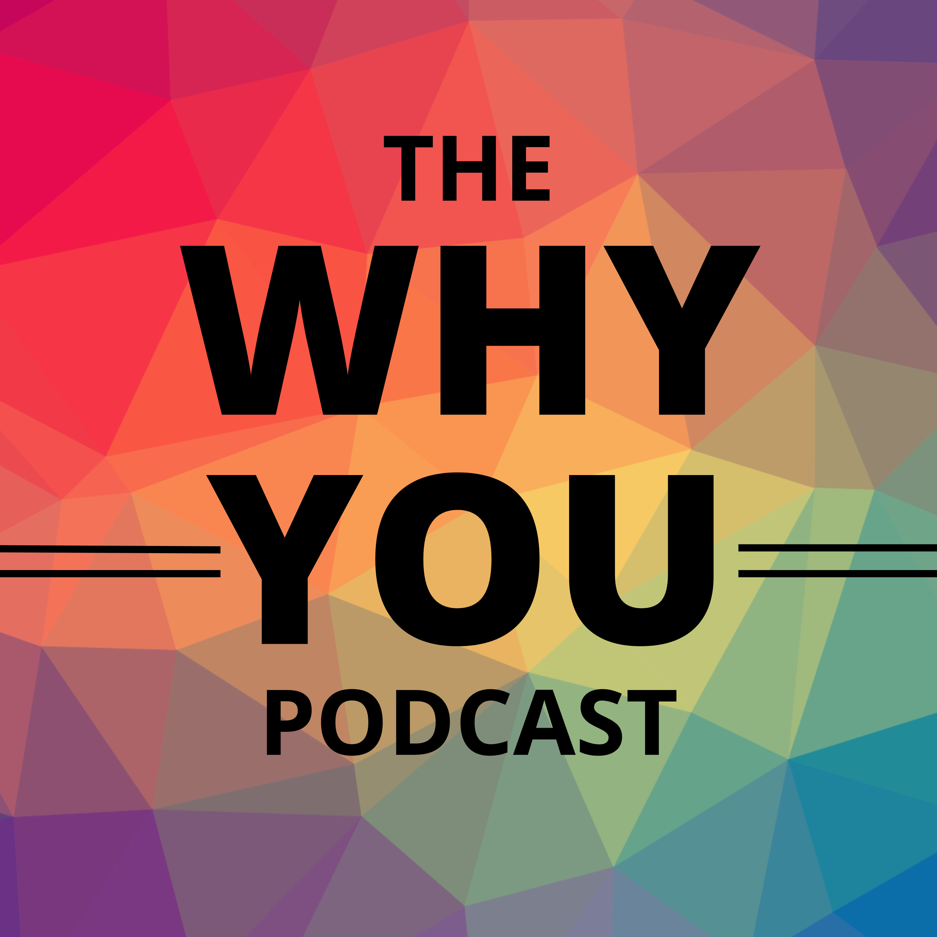 Intro - The Why You Podcast: Why us? episode artwork