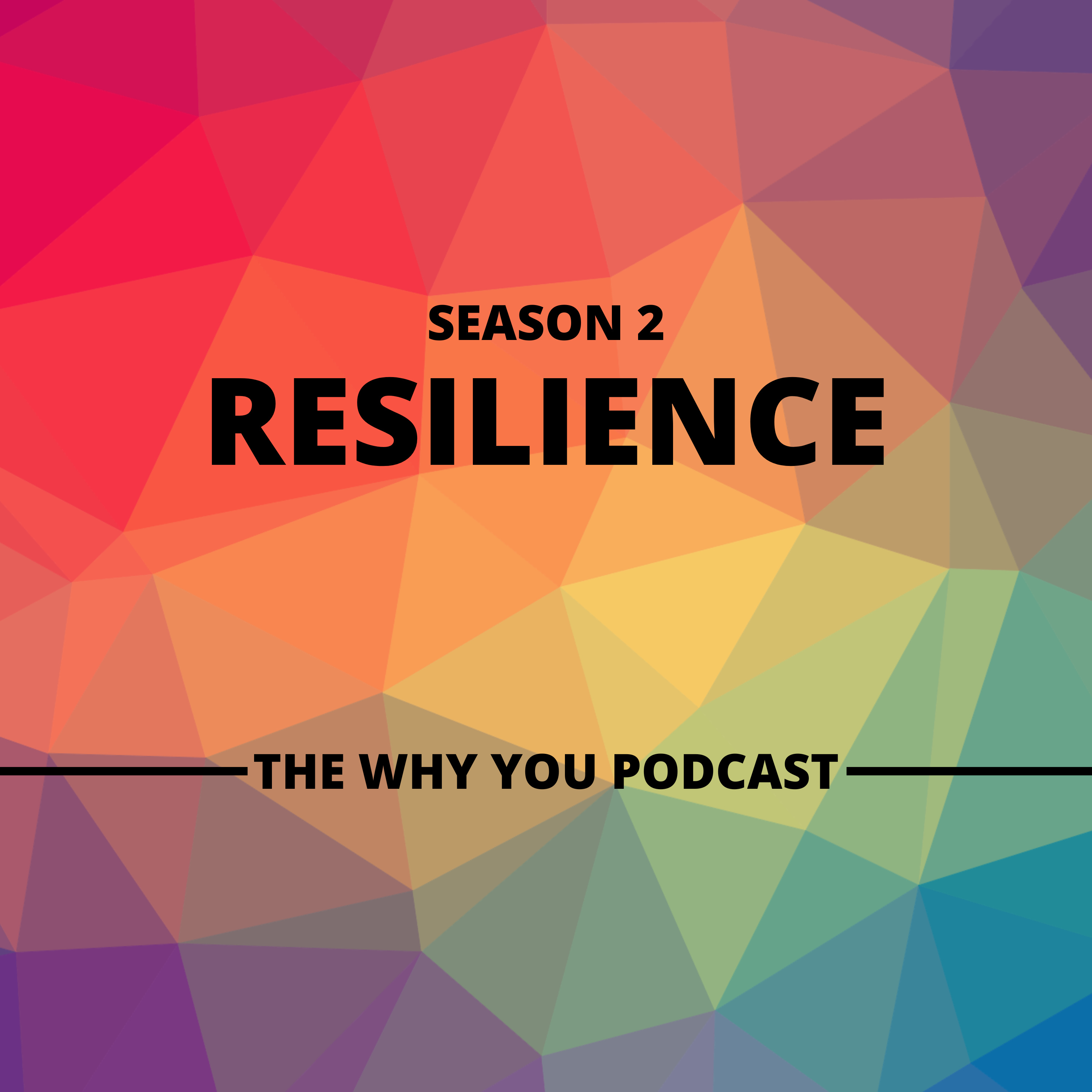 S2 E5 Resilience - Working through grief and life hardships episode artwork
