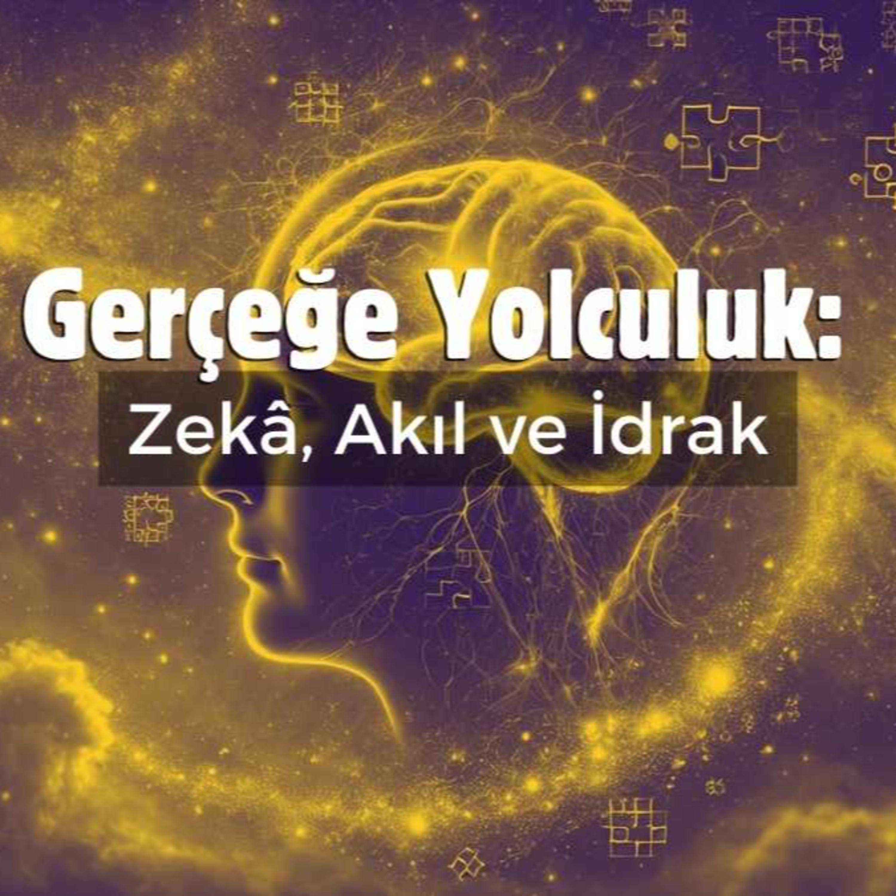 Gerçeğe Yolculuk: Zekâ, Akıl ve İdrak episode artwork