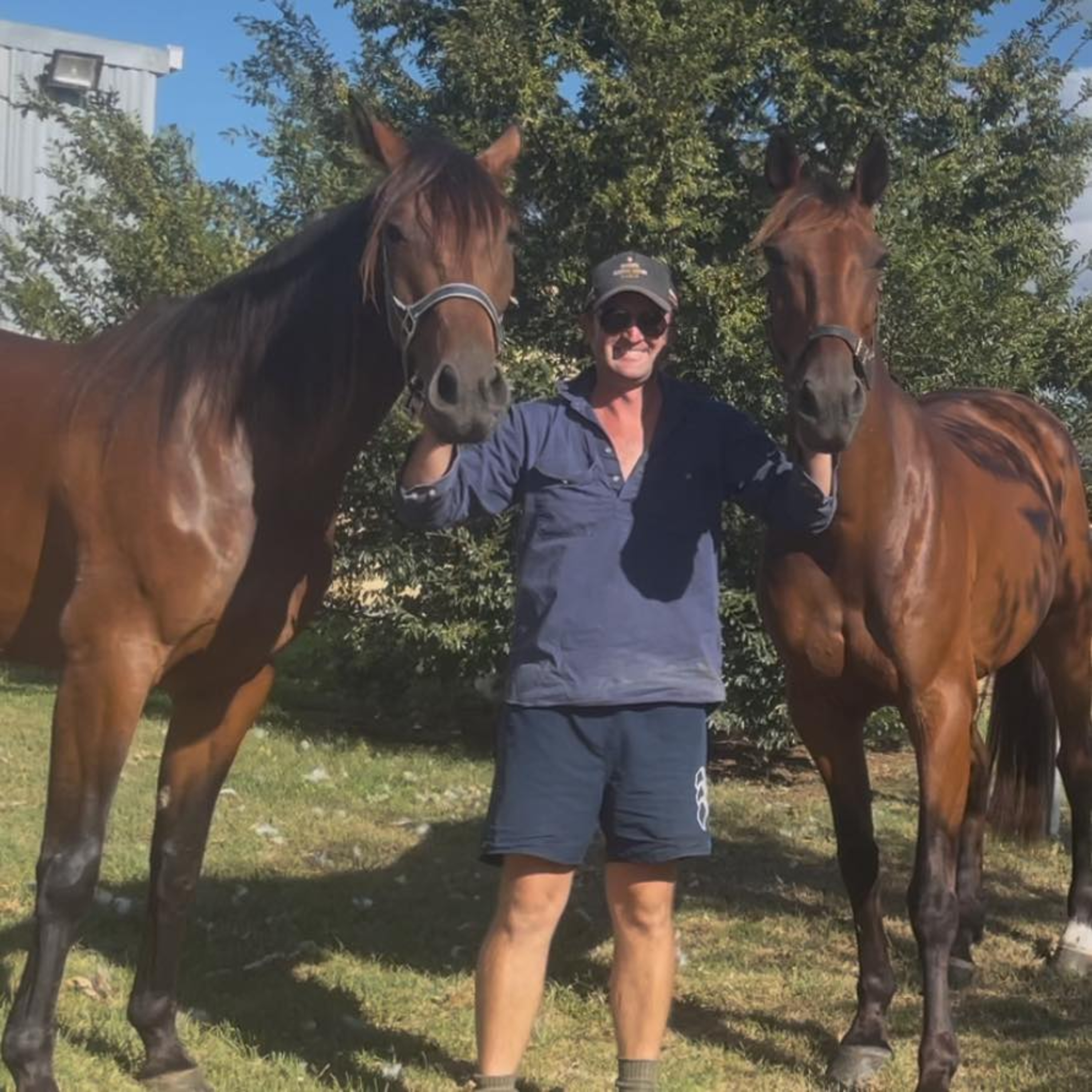 Anthony Collins 1on1: Harness Racing returns to Clifford Park