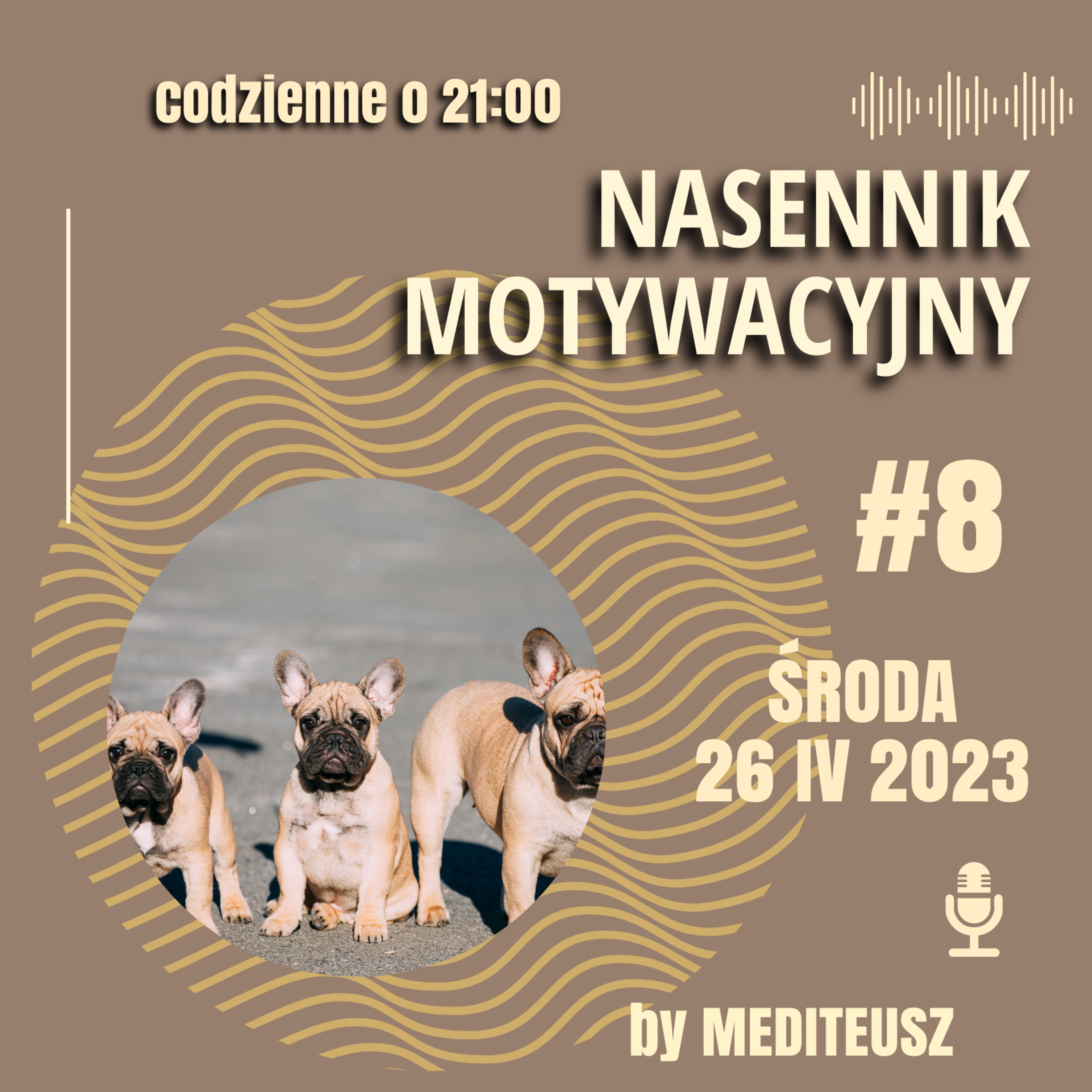 NASENNIK MOTYWACYJNY #8 ŚRODA 26 IV 2023 NIEDOSKONAŁOŚĆ ..... episode artwork