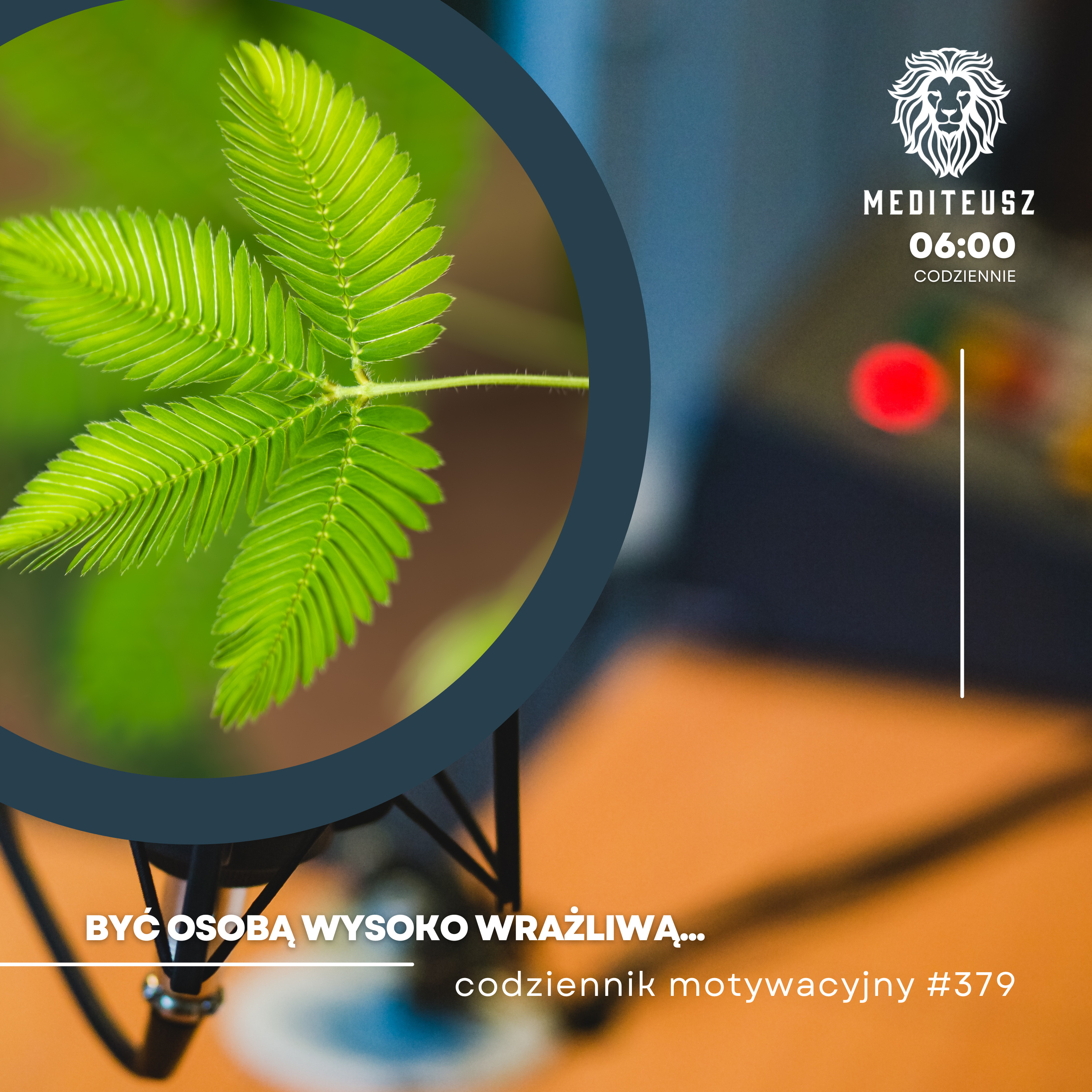 CODZIENNIK MOTYWACYJNY #379 18 IX 2024 - WWO CZYLI BYCIE CZŁOWIEKIEM WYSOKO WRAŻLIWYM....! episode artwork