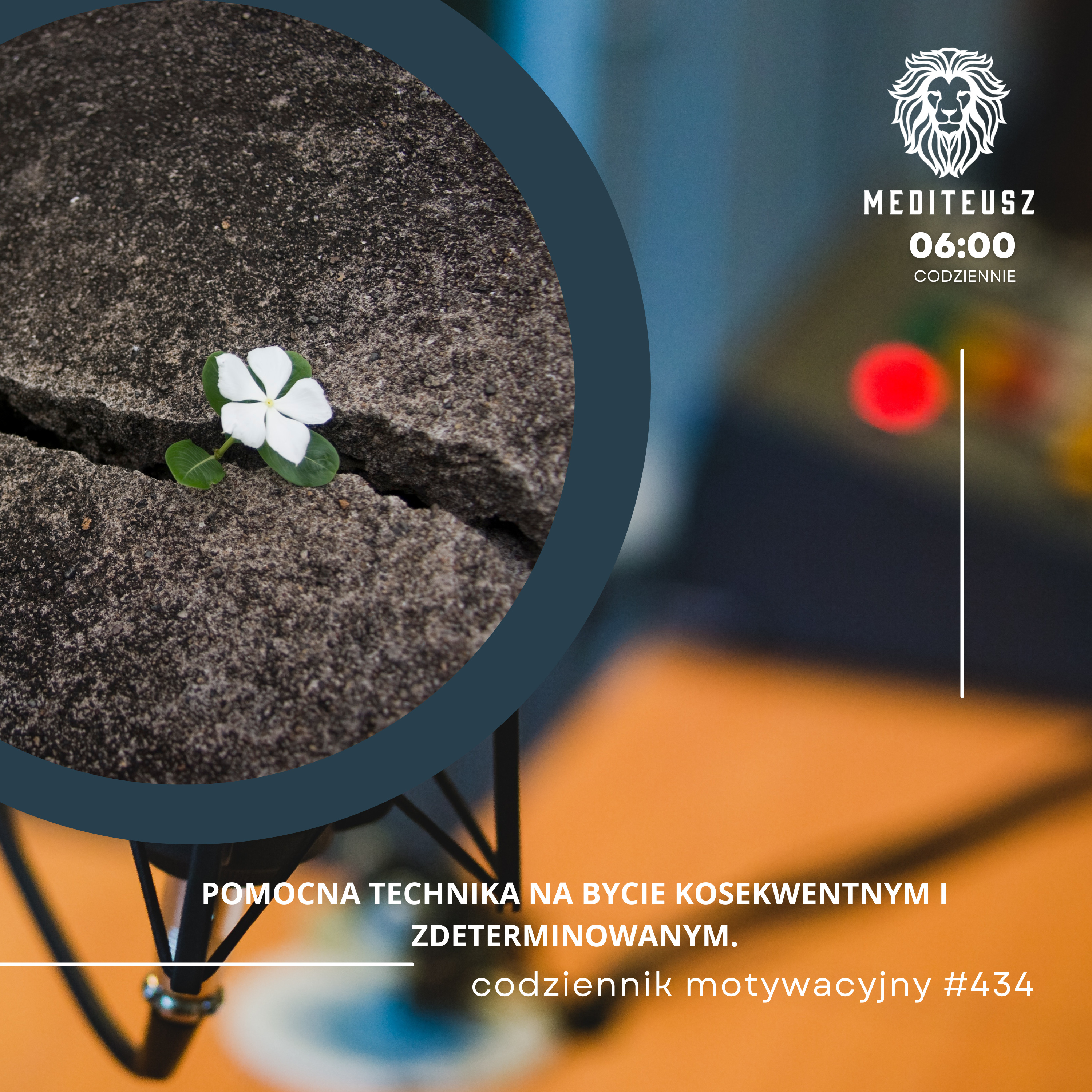  CODZIENNIK MOTYWACYJNY #434 12 XII 2024 - POMOCNA TECHNIKA NA BYCIE KOSEKWENTNYM I ZDETERMINOWANYM. episode artwork