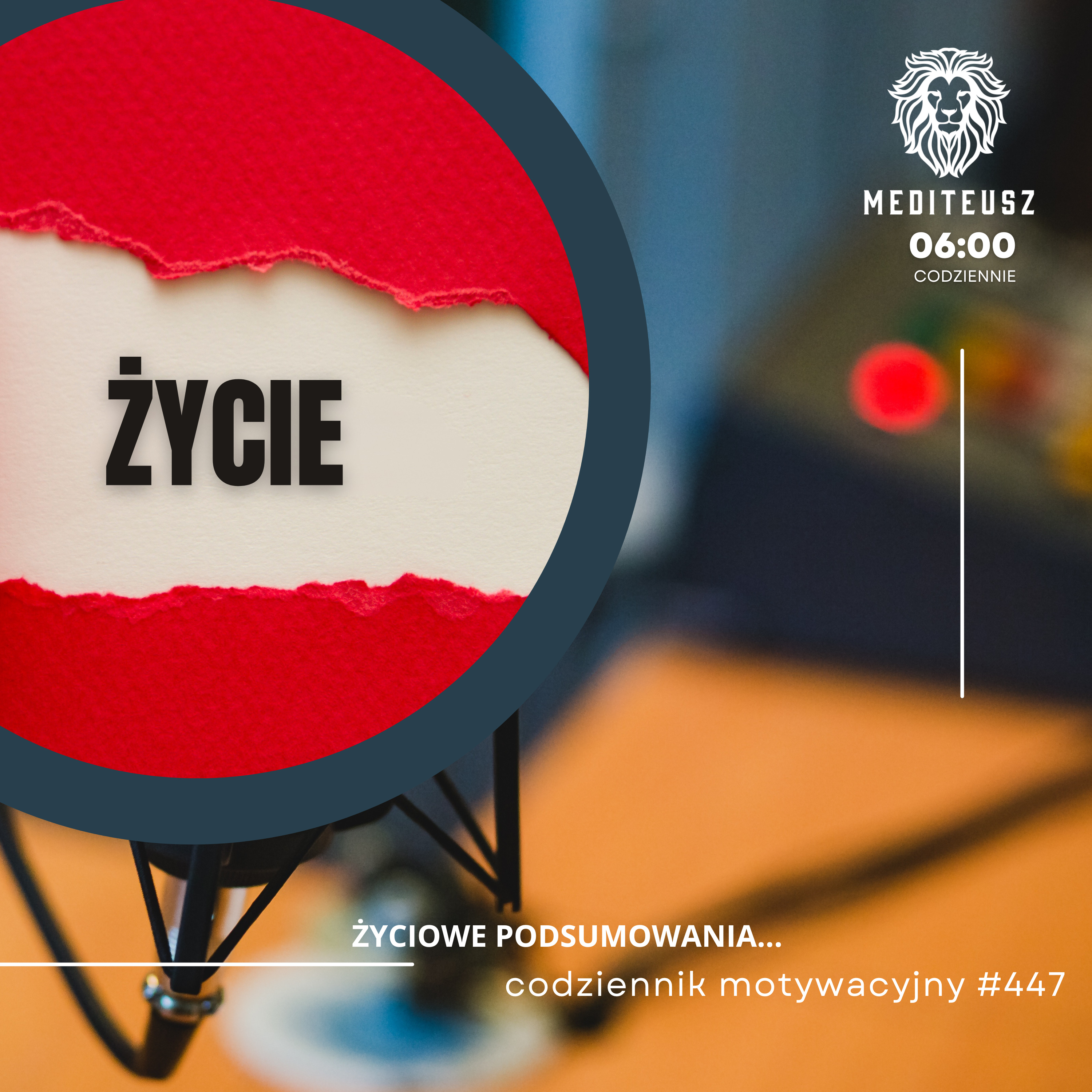 CODZIENNIK MOTYWACYJNY #447 8 I 2025 - ŻYCIOWE PODSUMOWANIA ... episode artwork