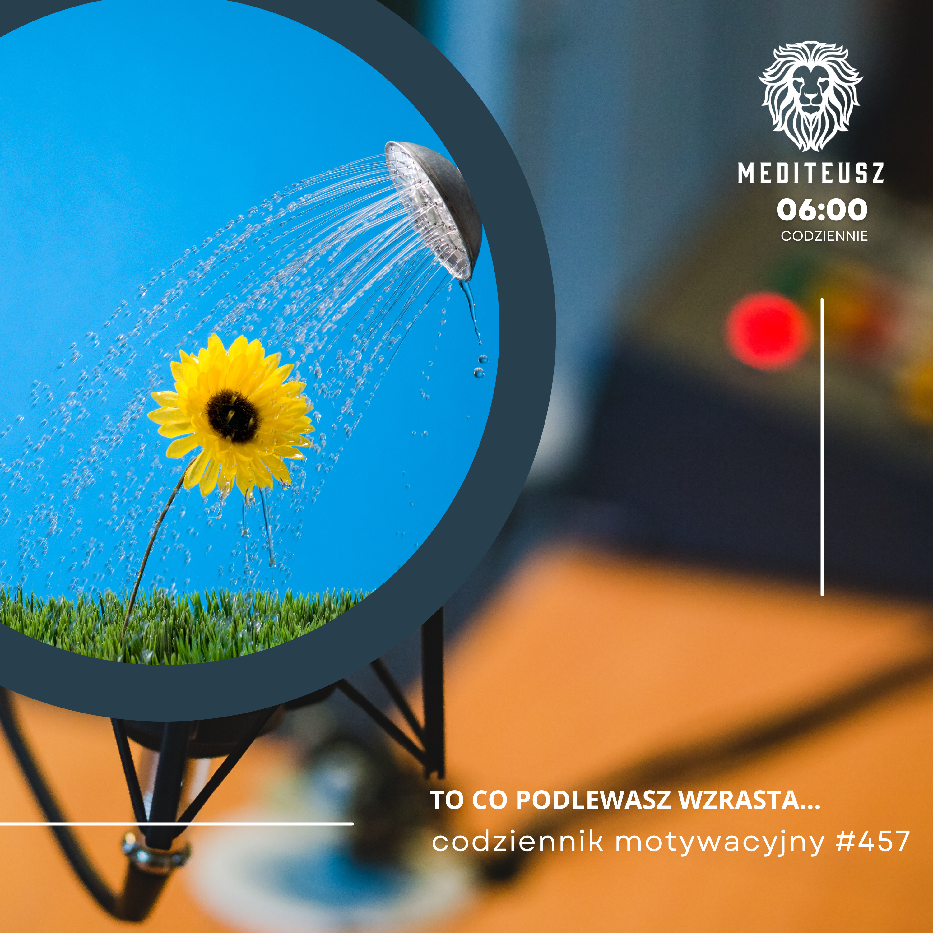 CODZIENNIK MOTYWACYJNY #457 23 I 2025 - TO CO PODLEWASZ WZRASTA - CZYLI O DAWANIU SWOJEJ UWAG!..... episode artwork