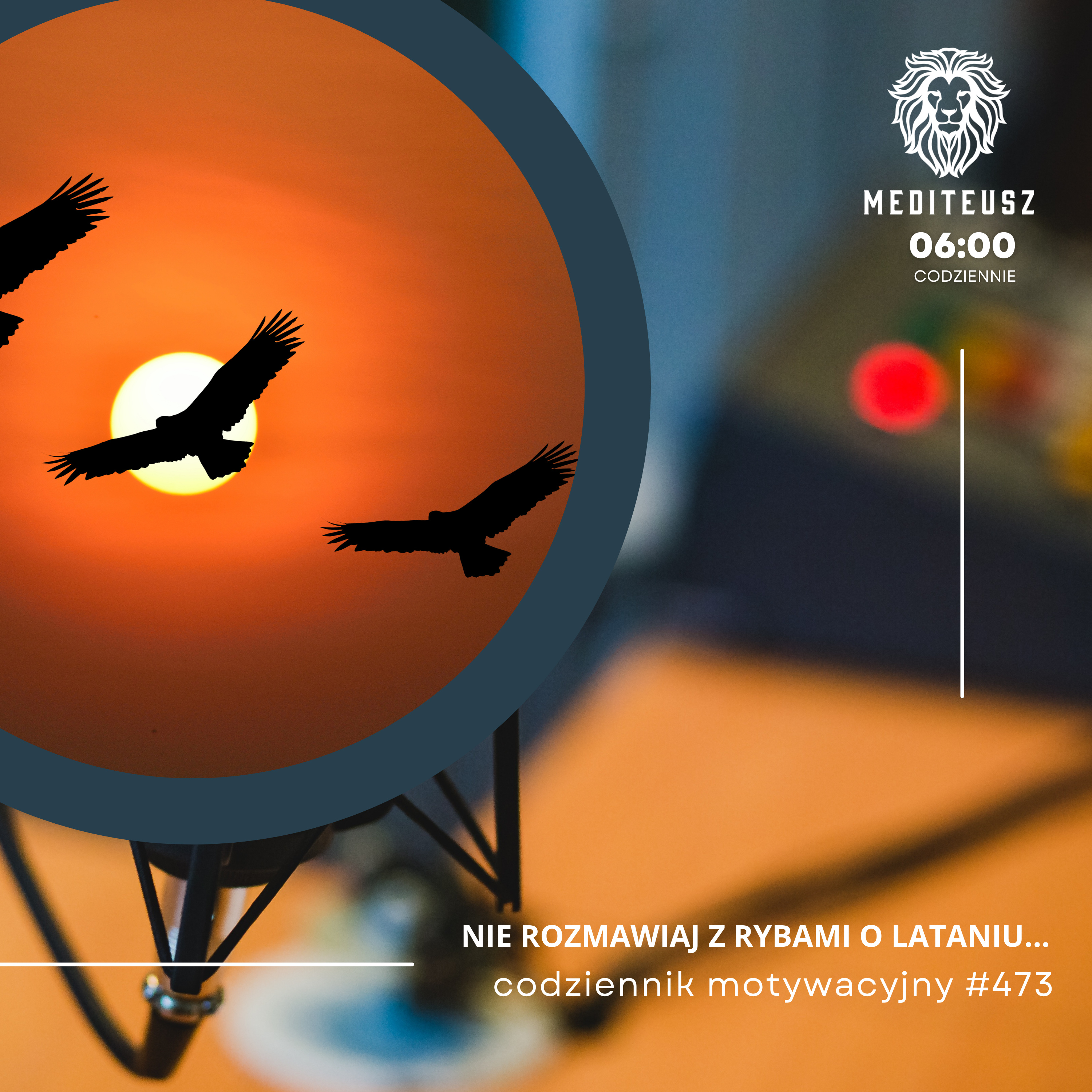  CODZIENNIK MOTYWACYJNY #473 17 II 2025 - NIE ROZMAWIAJ Z RYBAMI O LATANIU.... episode artwork