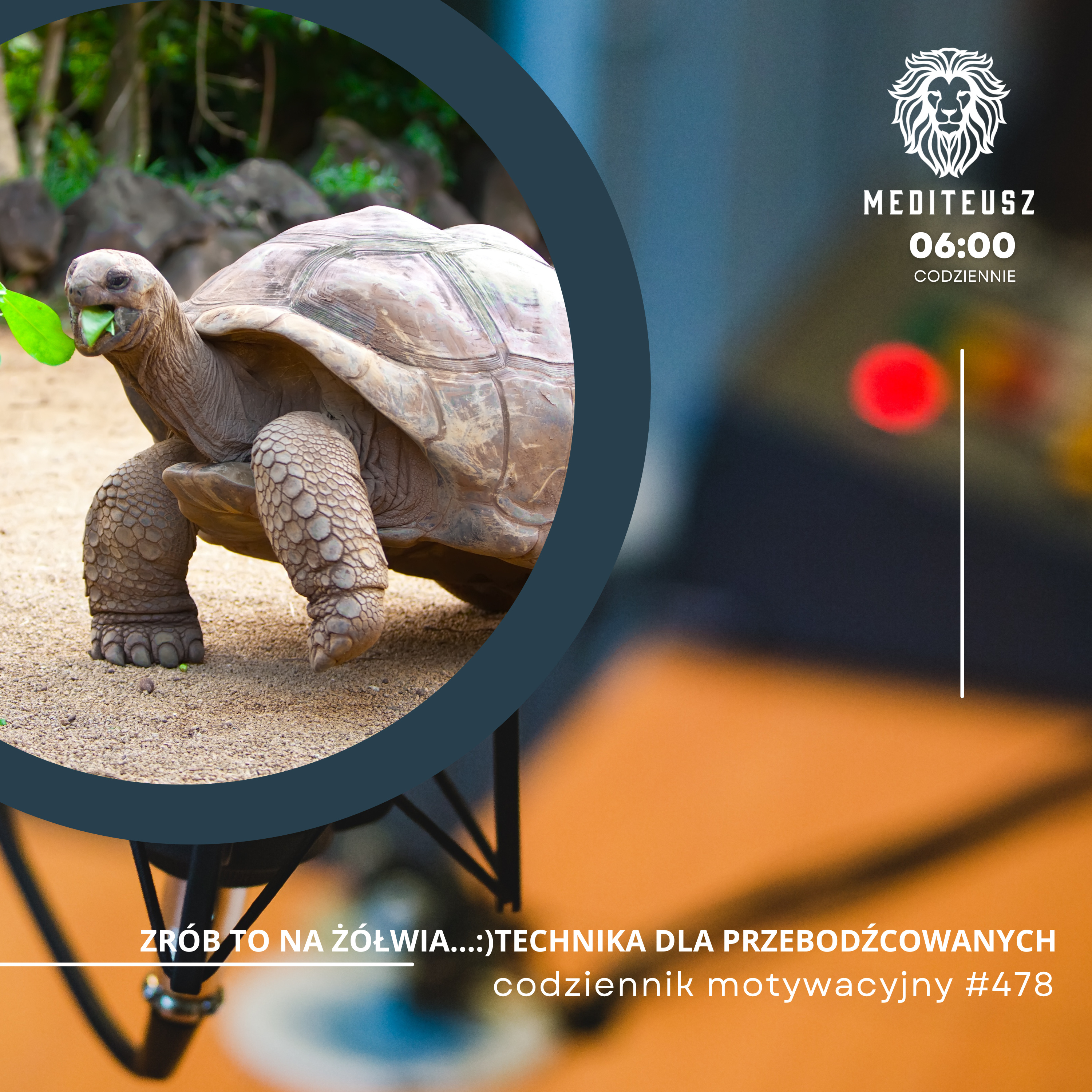 CODZIENNIK MOTYWACYJNY #478 24 II 2025 - ZRÓB TO NA ŻÓŁWIA.... TECHNIKA DLA PRZEBODŹCOWANYCH !!! episode artwork