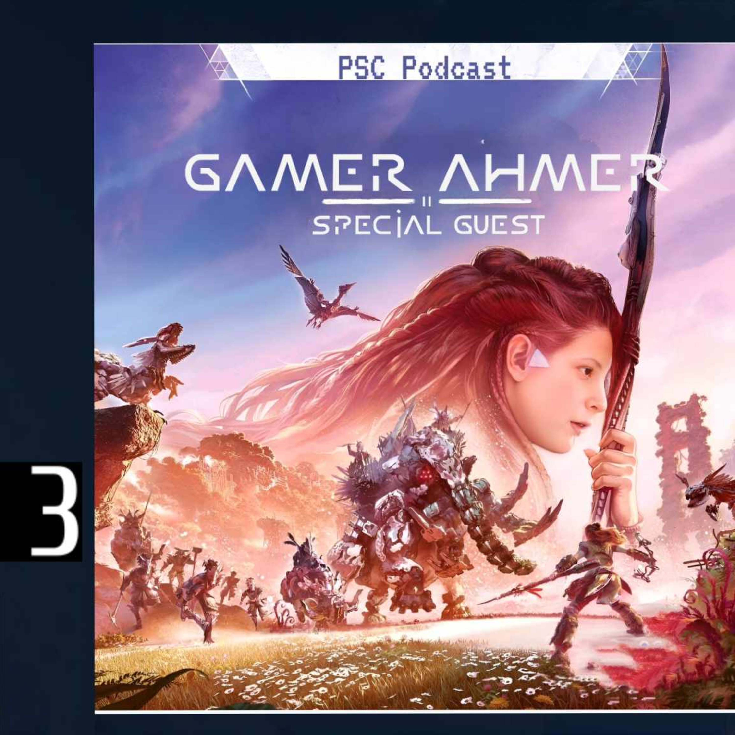 The PlayStation Collectors Podcast
