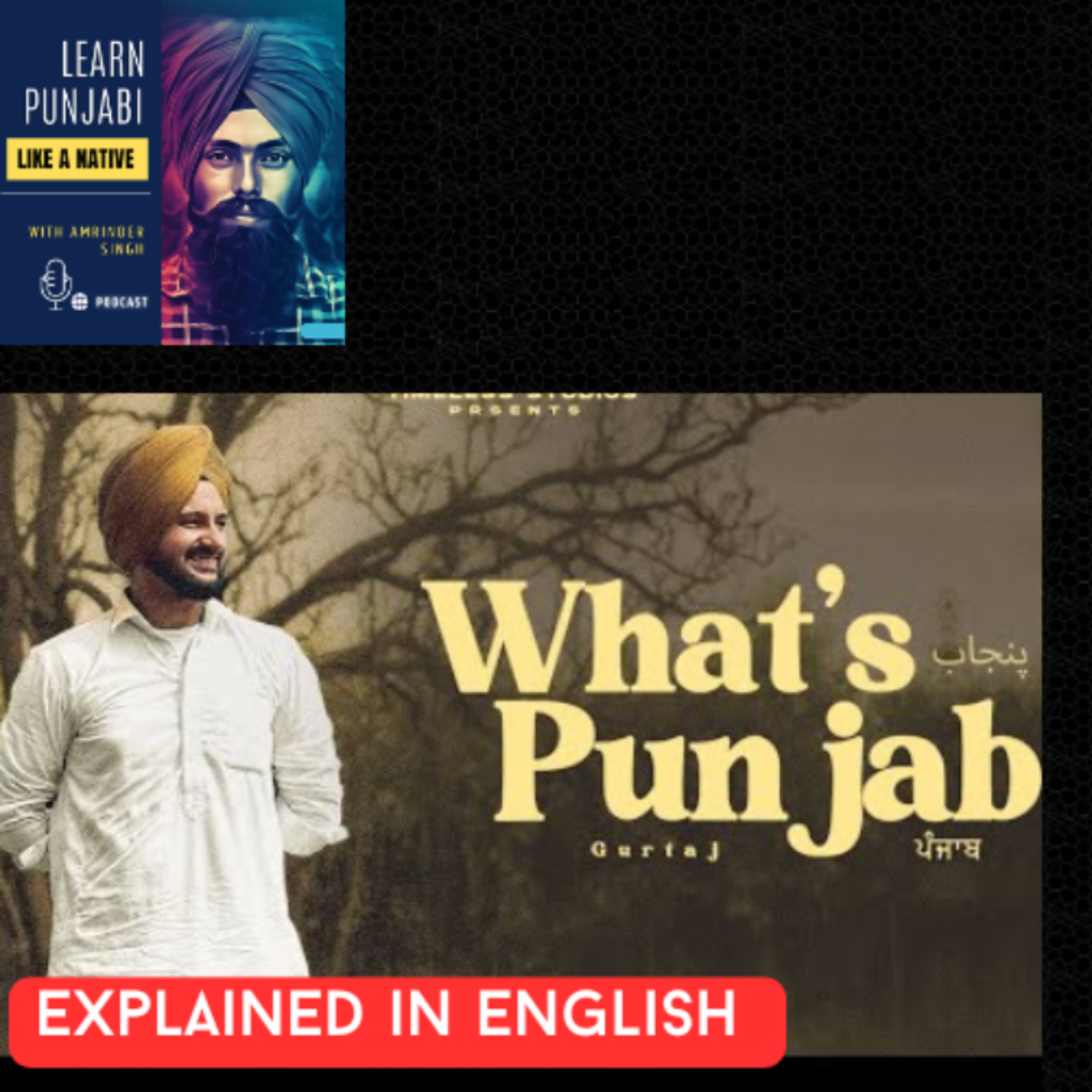 #203 : What's Punjab song explained in English  episode artwork
