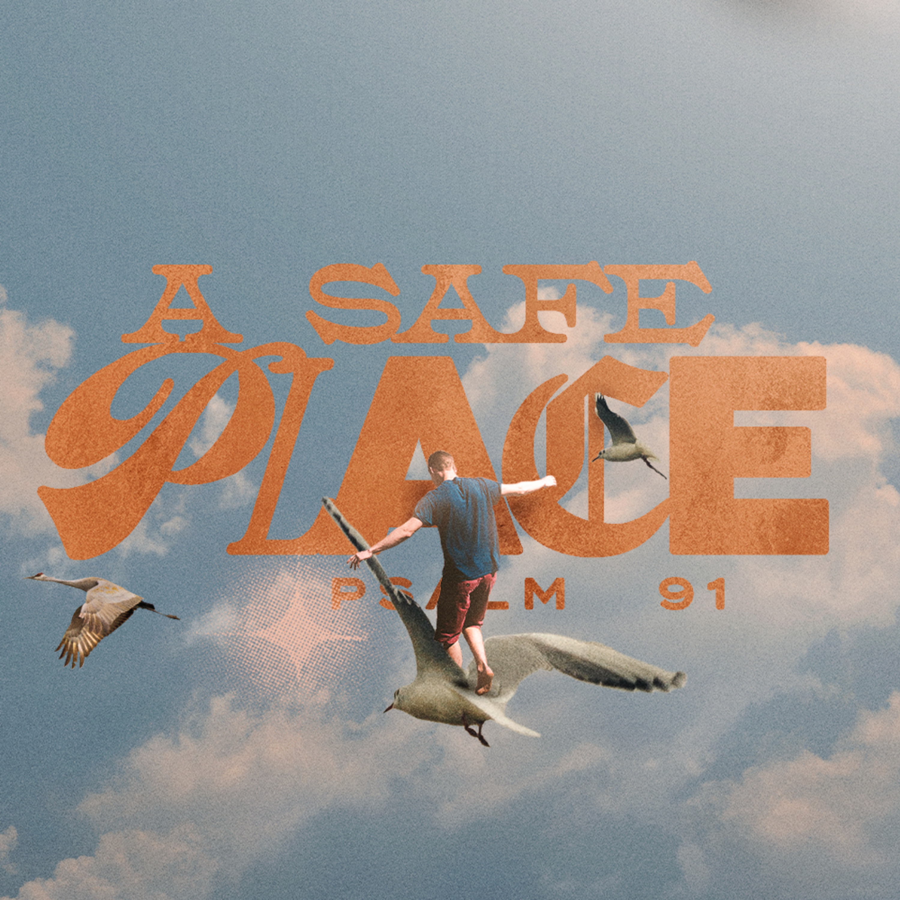 "Have You Moved?" episode artwork