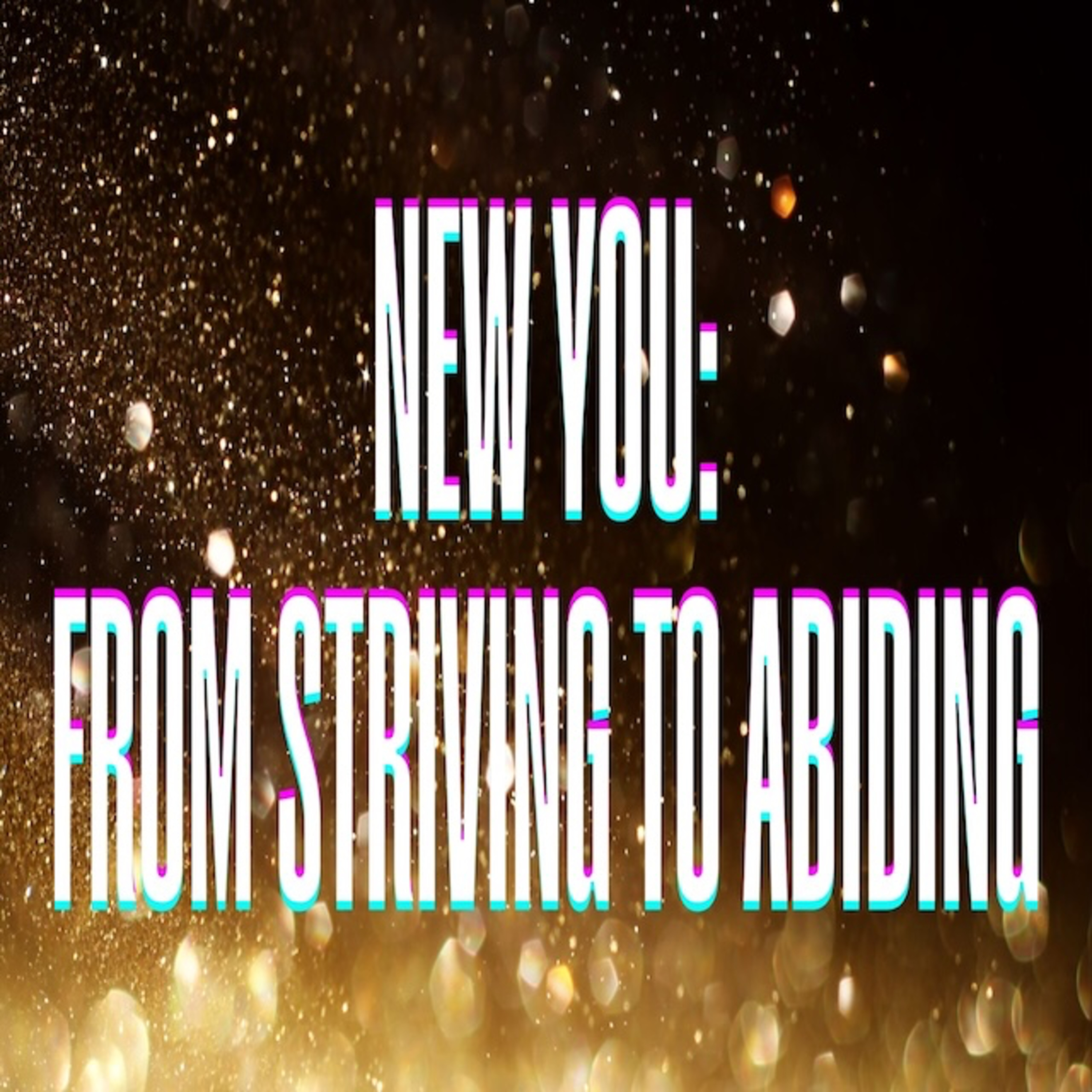 New You: From Striving To Abiding episode artwork