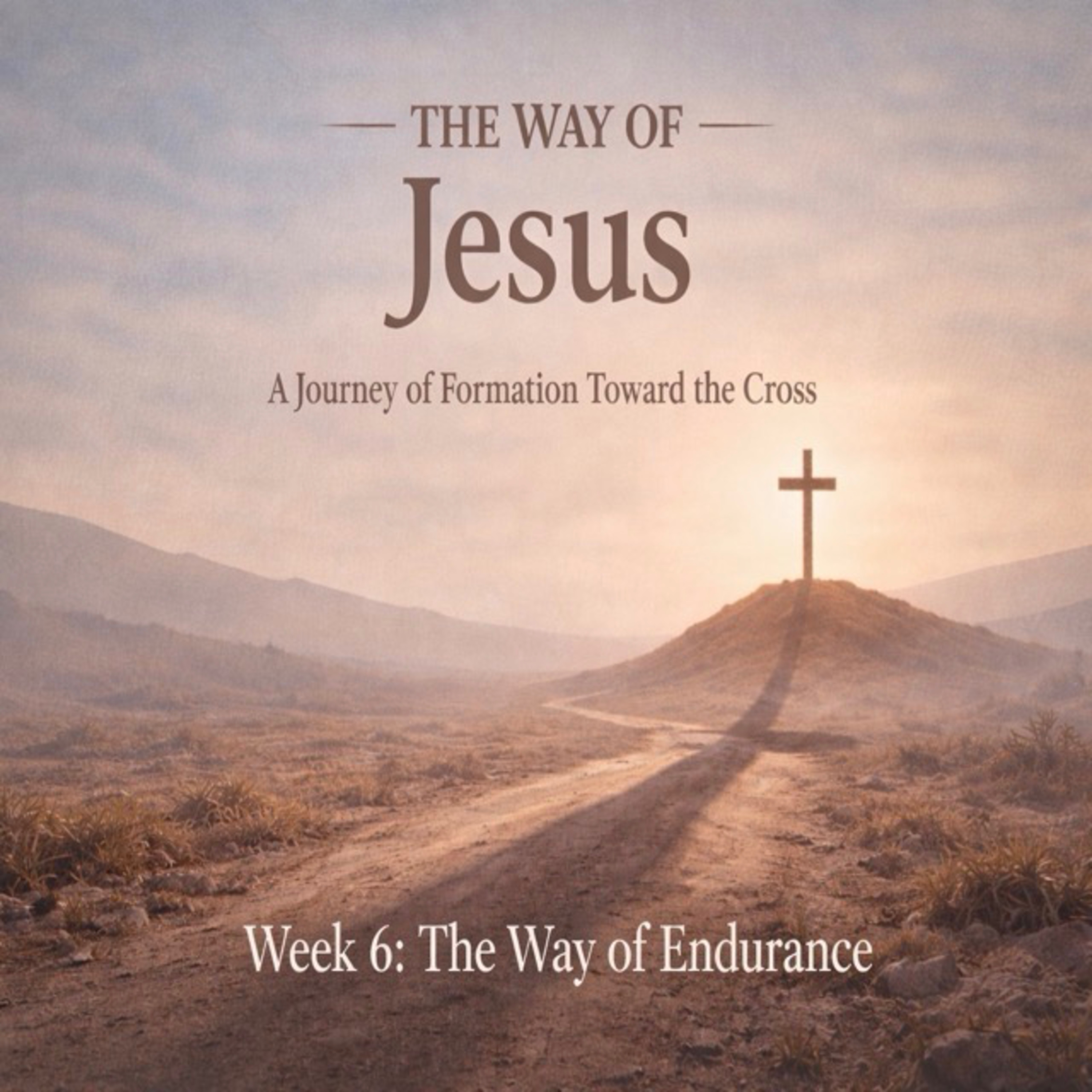 The Way of Endurance episode artwork