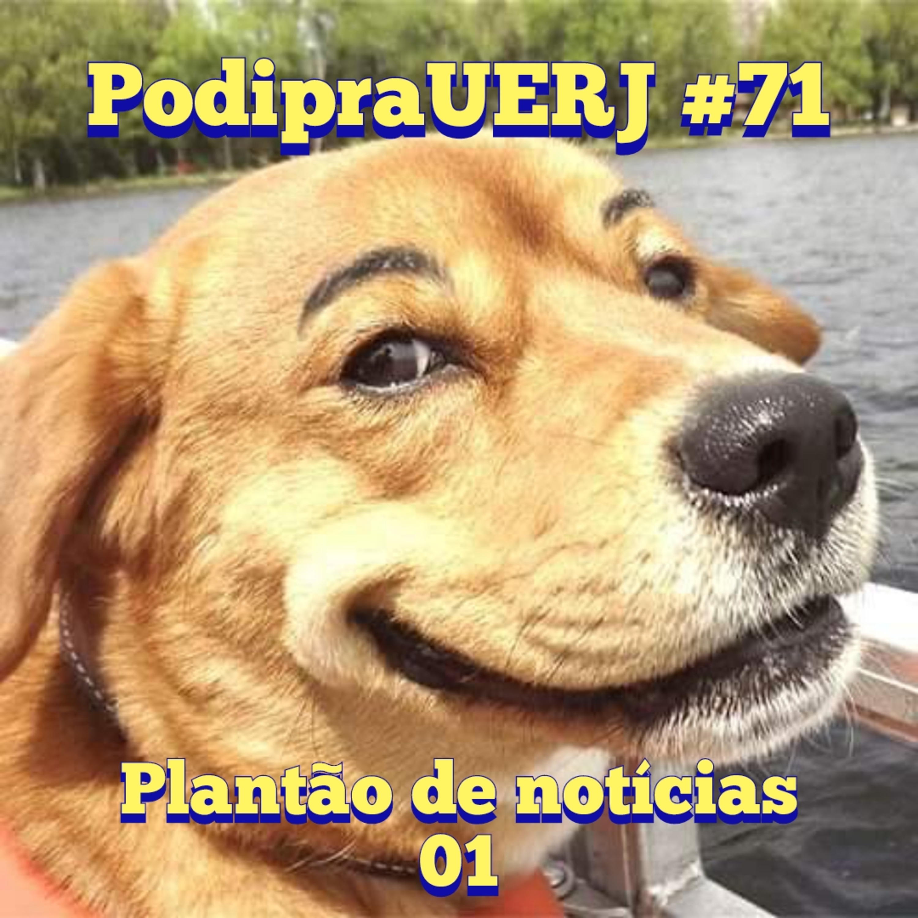 PodipraUERJ