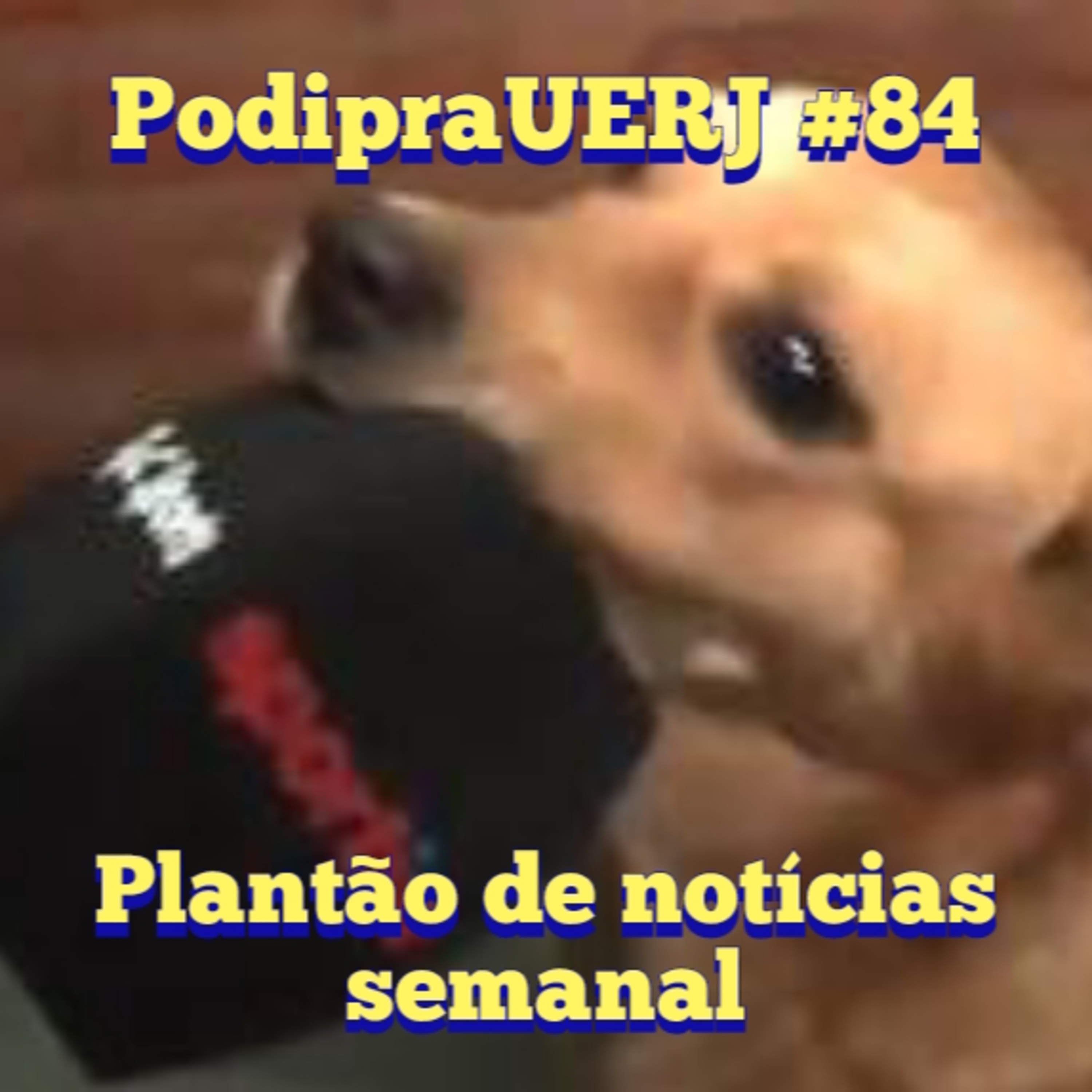 PodipraUERJ