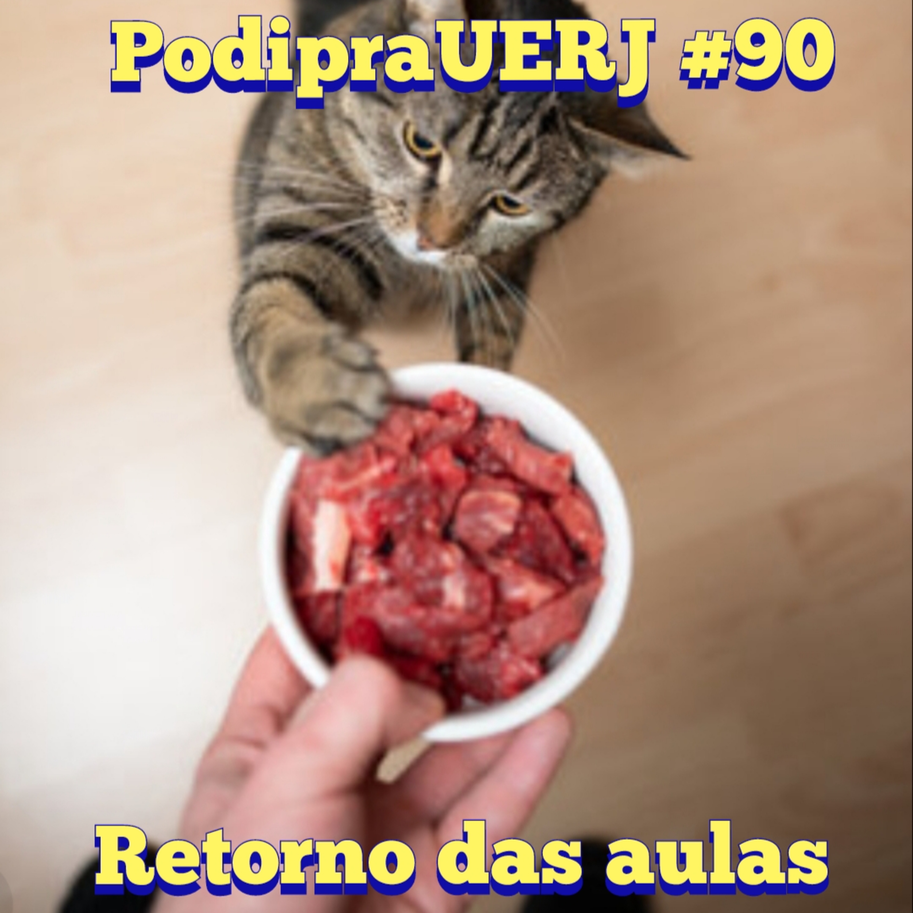 PodipraUERJ