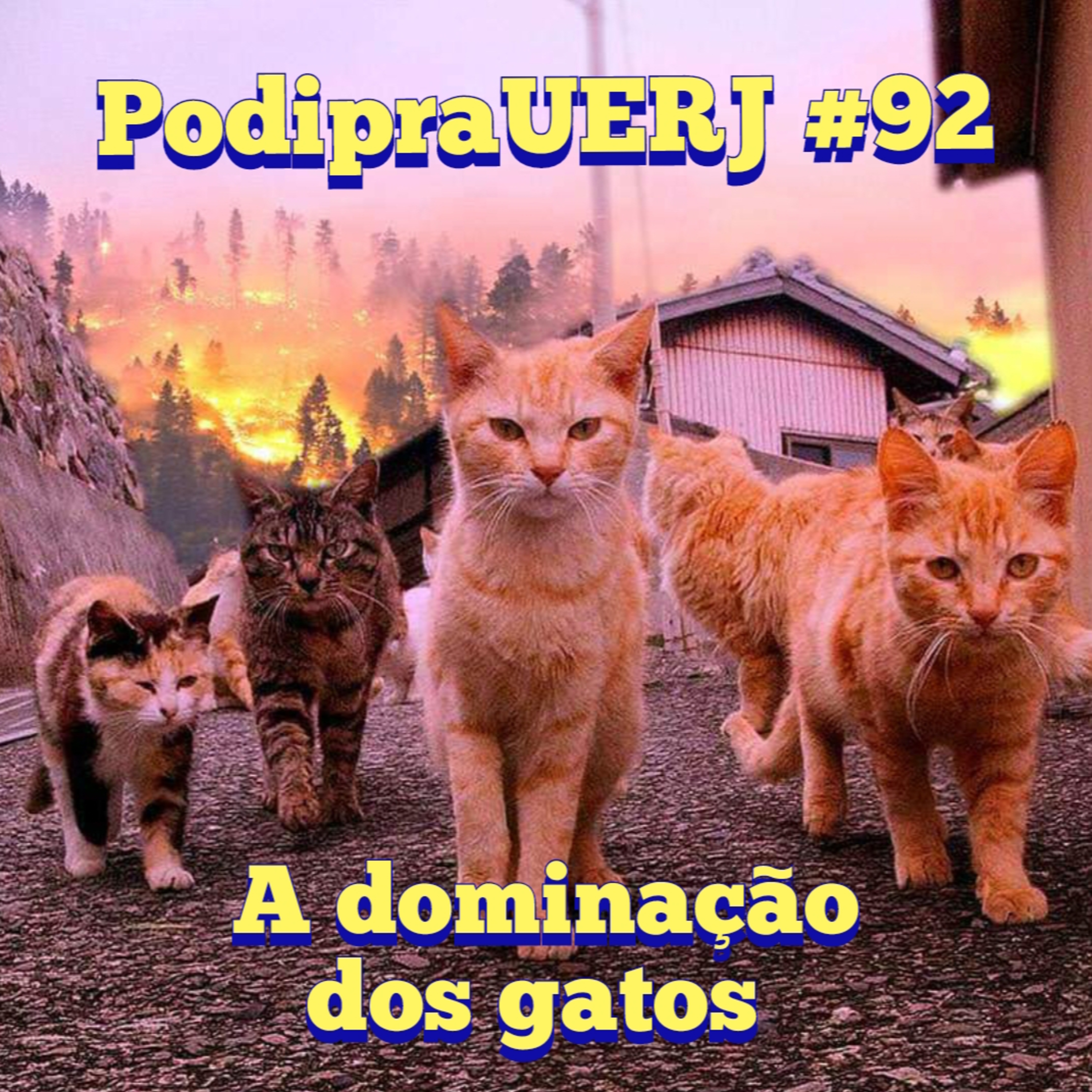 PodipraUERJ