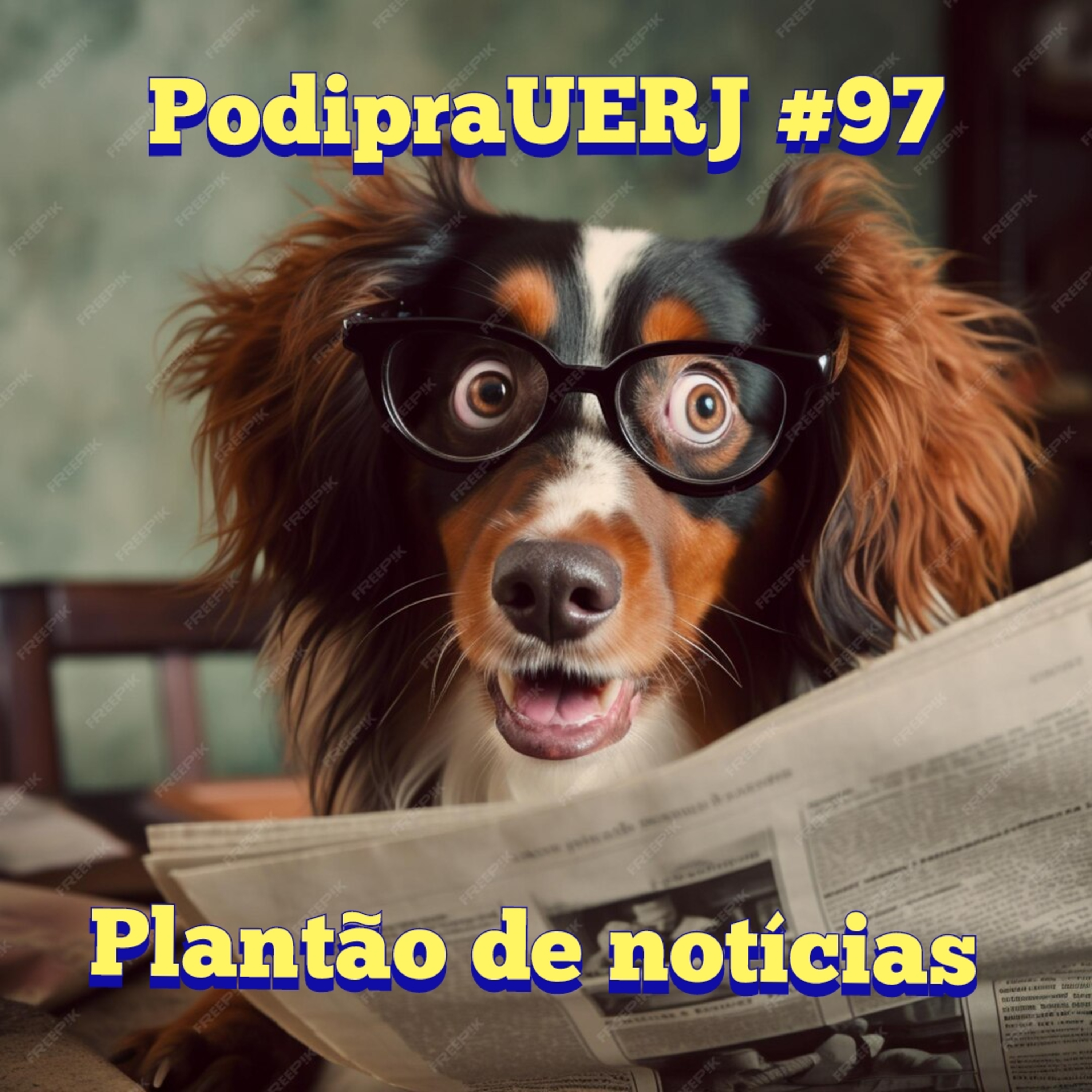 PodipraUERJ