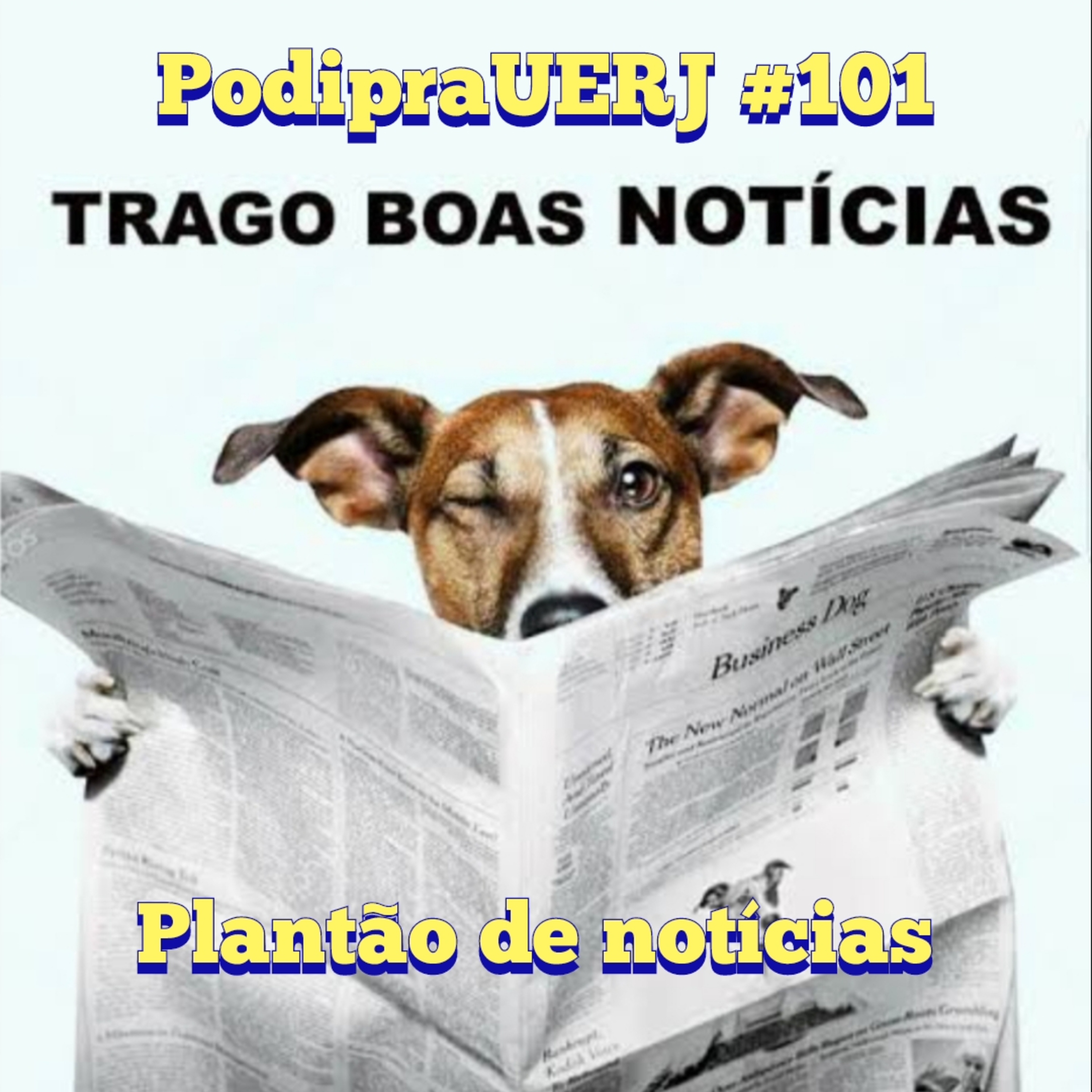 PodipraUERJ