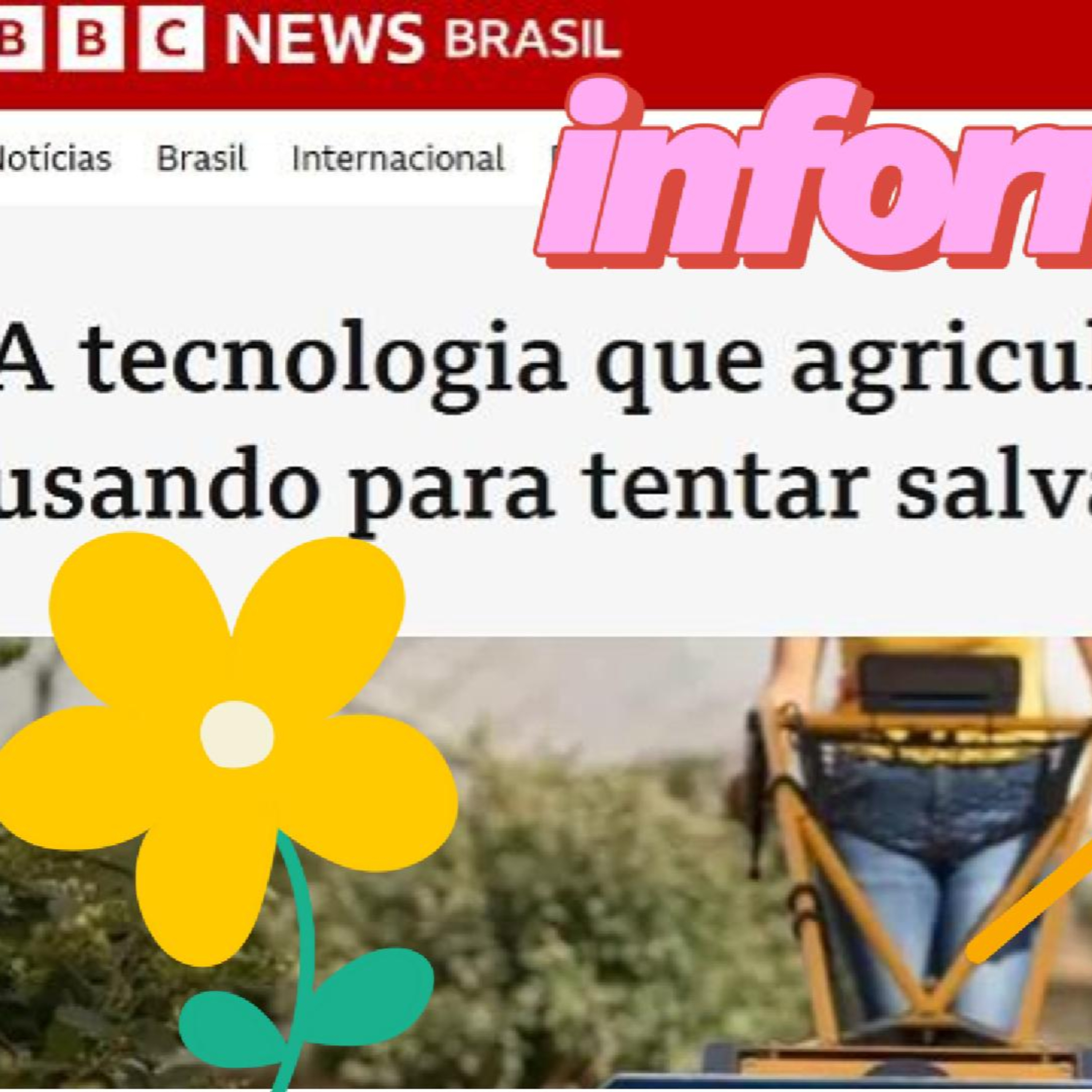 BBC News Brasil - Conhece a polinização artificial? Vamos Salvar as Abelhas? episode artwork
