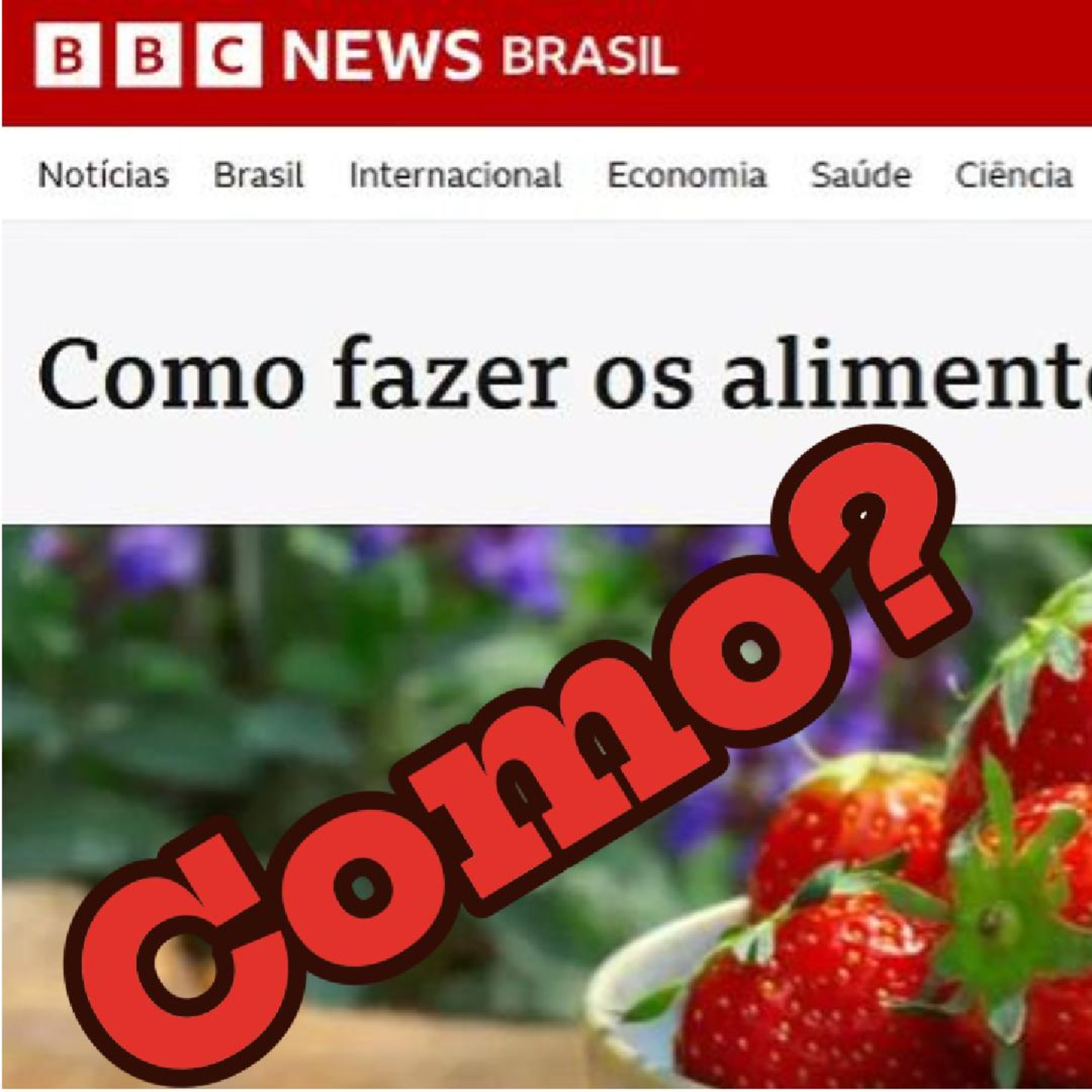 Evite desperdício: dicas para prolongar a vida dos alimentos | BBC NEWS BRASIL episode artwork
