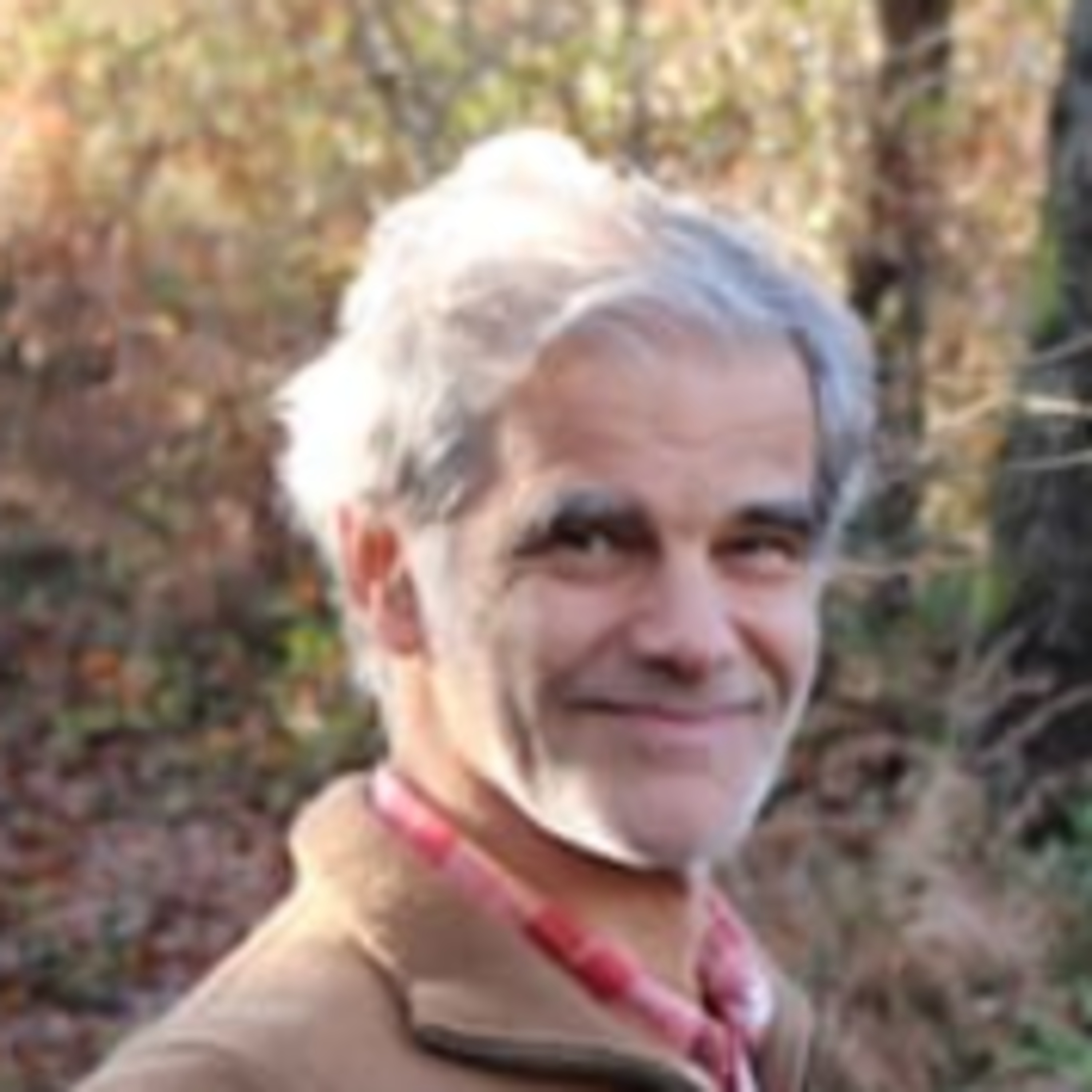 Armando Carvalho, engenheiro florestal