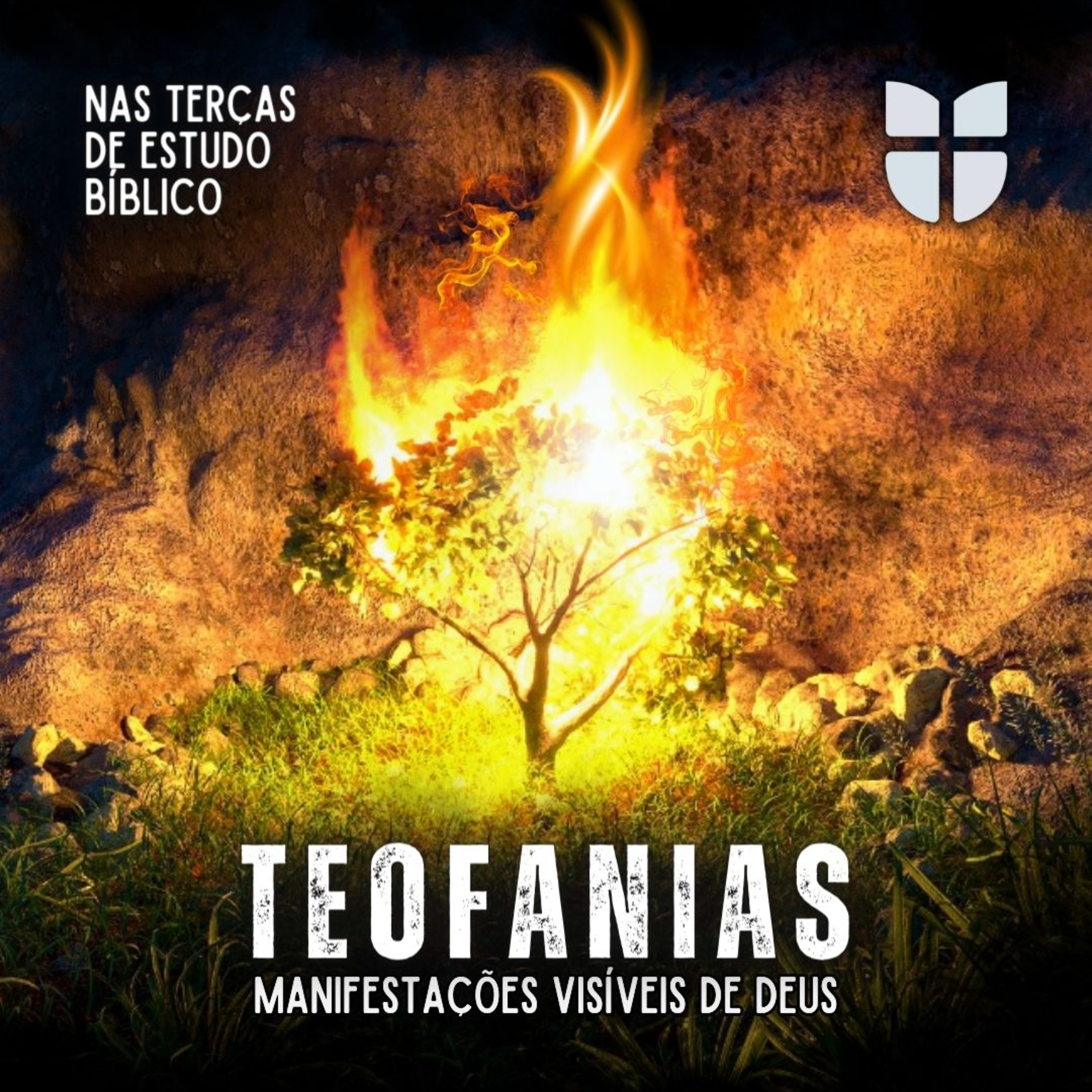 #0164 | Estudo | TEOFANIAS: Jacó, o Senhor e a escadaria celestial | Gênesis 28 episode artwork