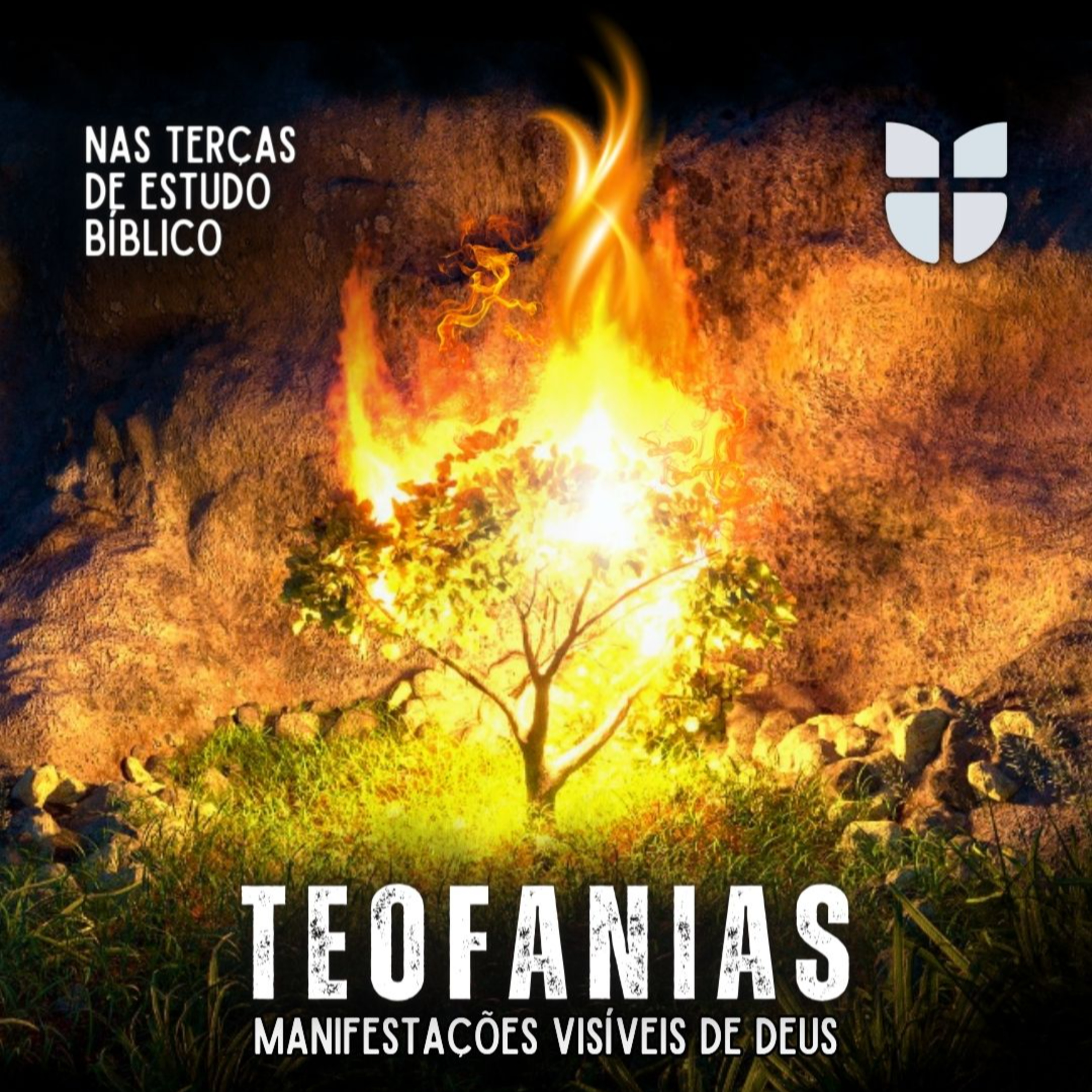#0181 | Estudo | TEOFANIAS: Moisés, a sarça ardente e o Anjo do Senhor | Êxodo 3 episode artwork