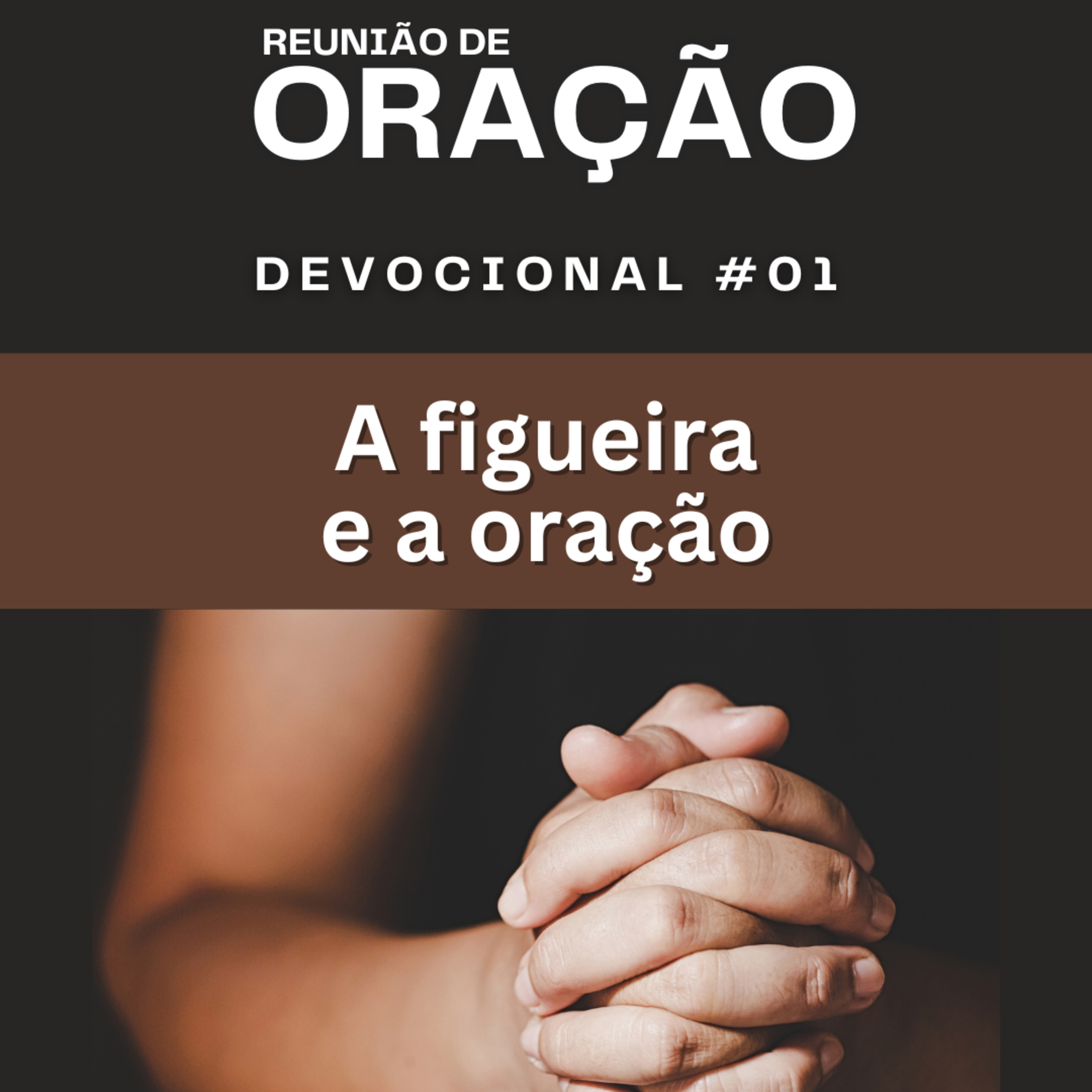 #0195 | Devocional | A FIGUEIRA E A ORAÇÃO | Mateus 21.22 episode artwork