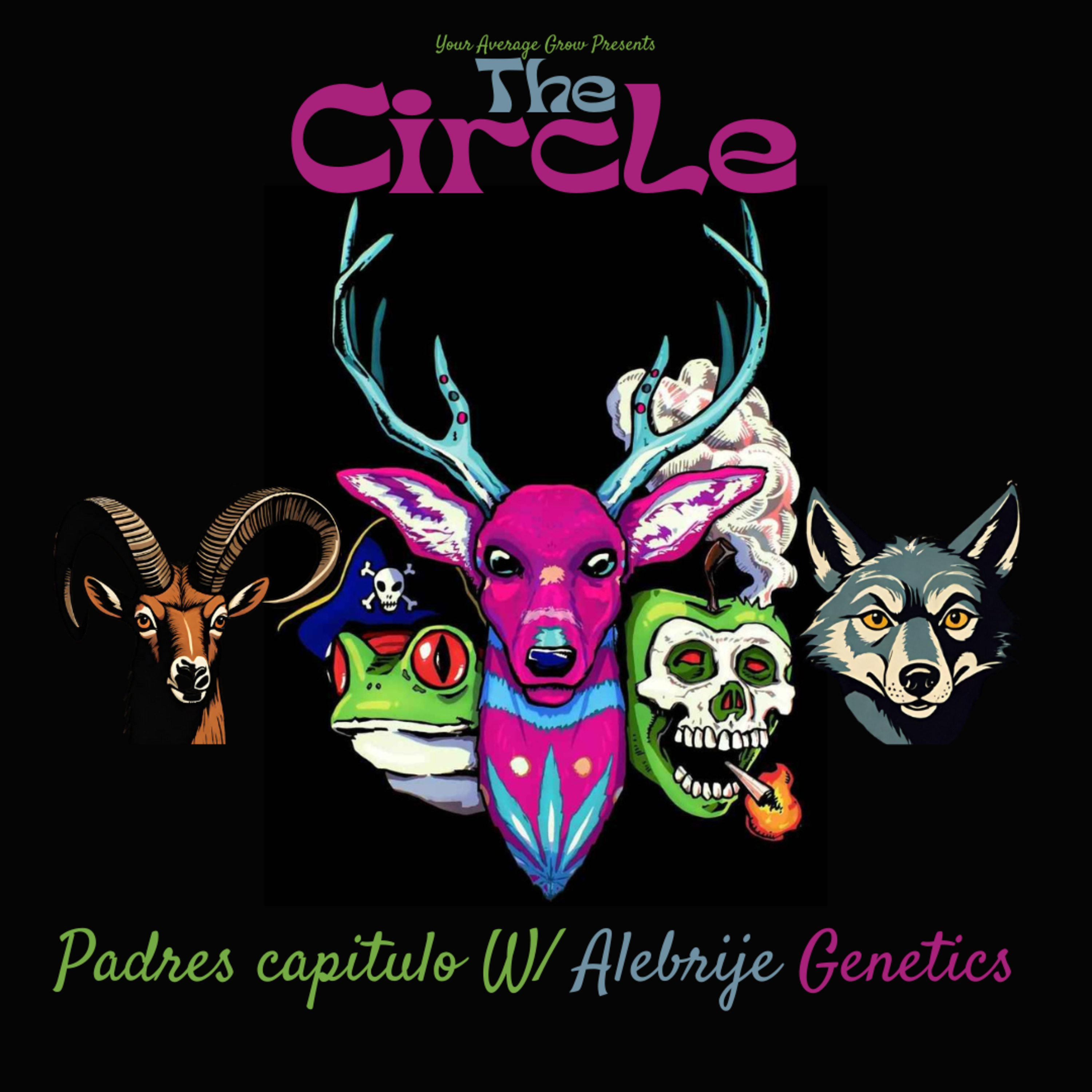 THE CIRCLE Presents Padre's capítulo W/ Alebrije Genetics