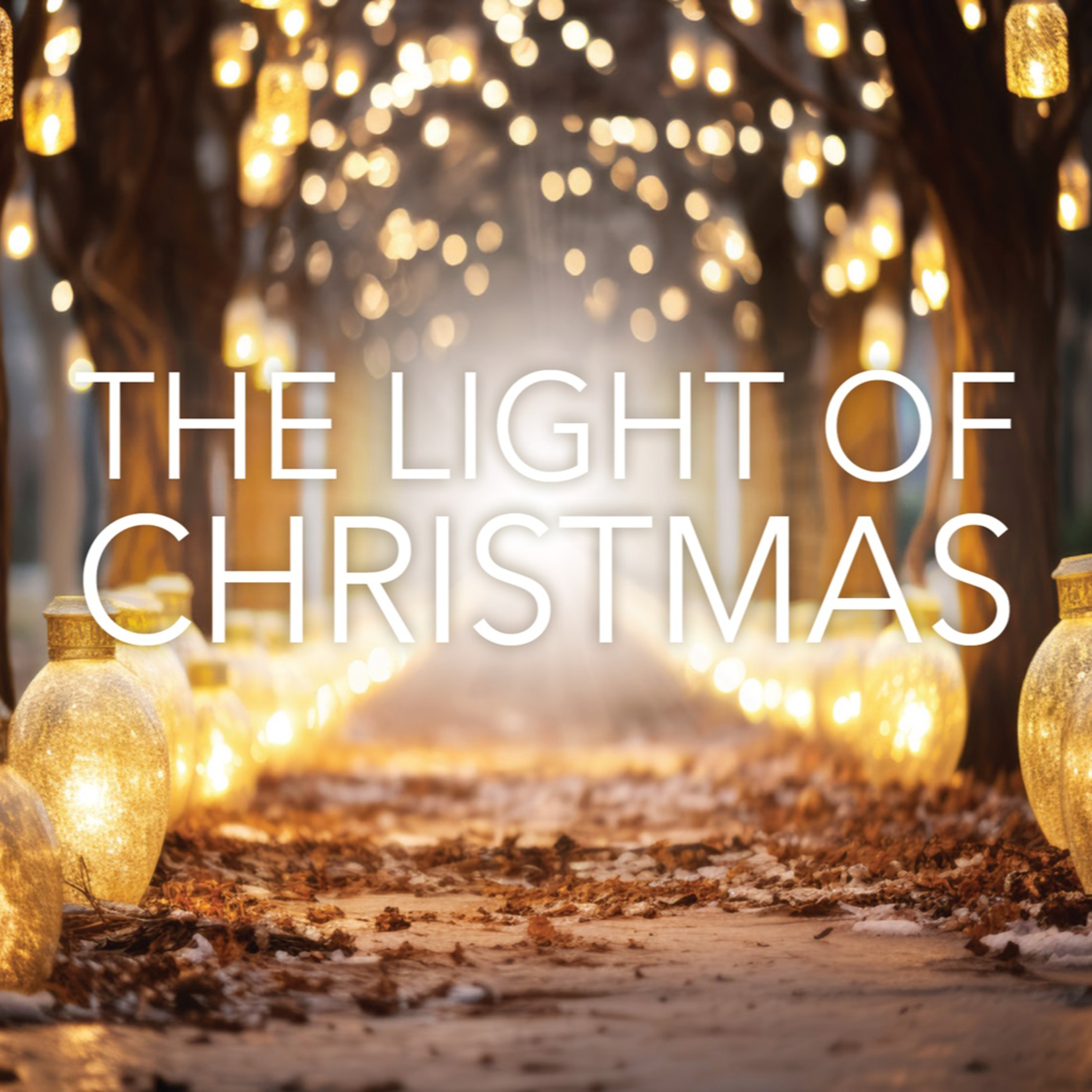 The Light Of Christmas #1